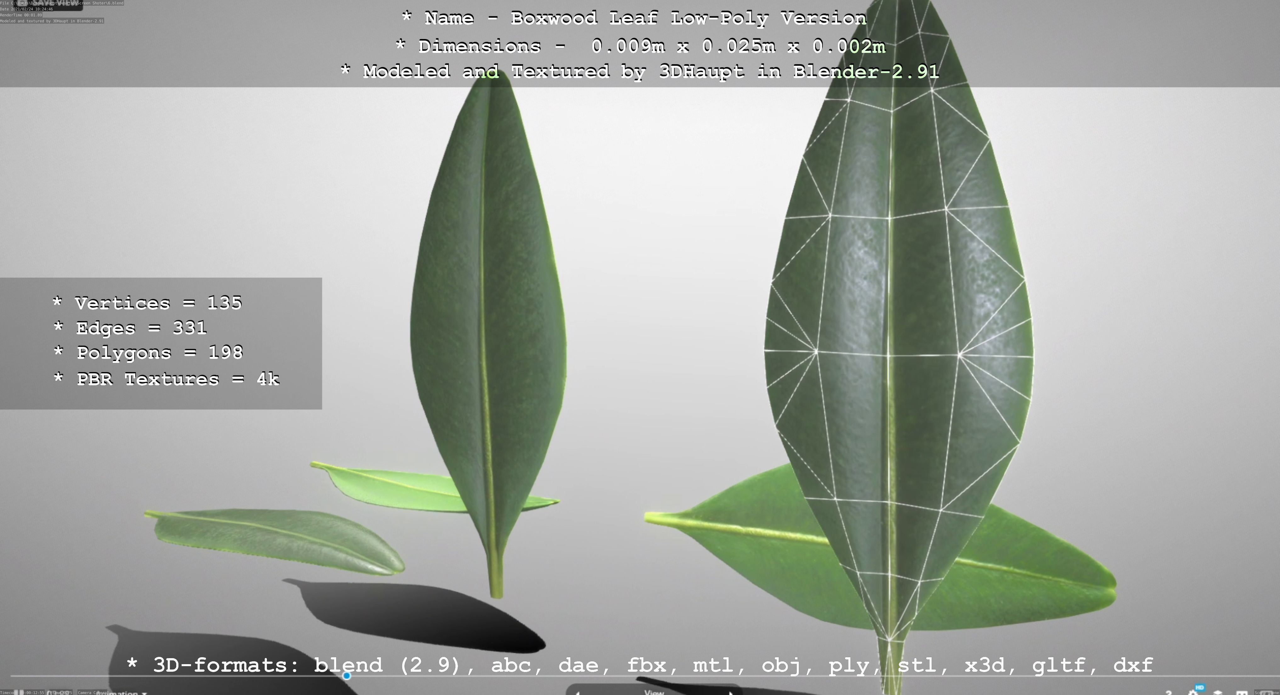 Boxwood Leaf Low-Poly Version Low-poly 3D model_70