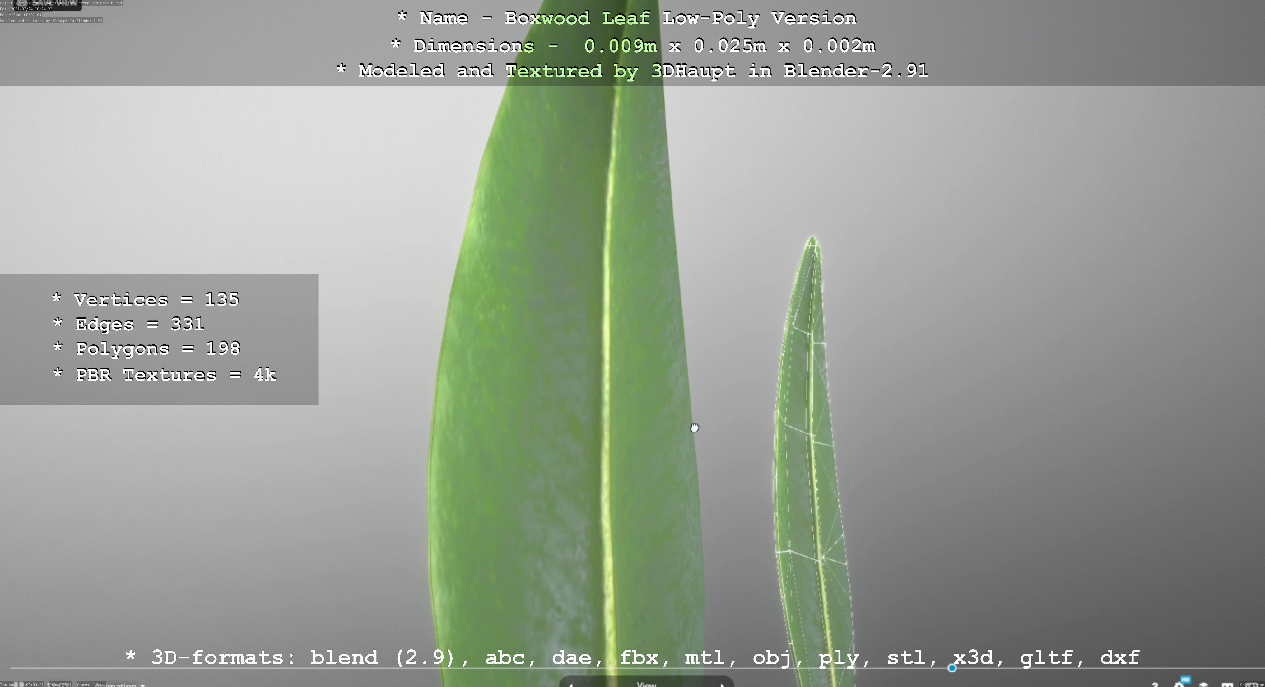 Boxwood Leaf Low-Poly Version Low-poly 3D model_67