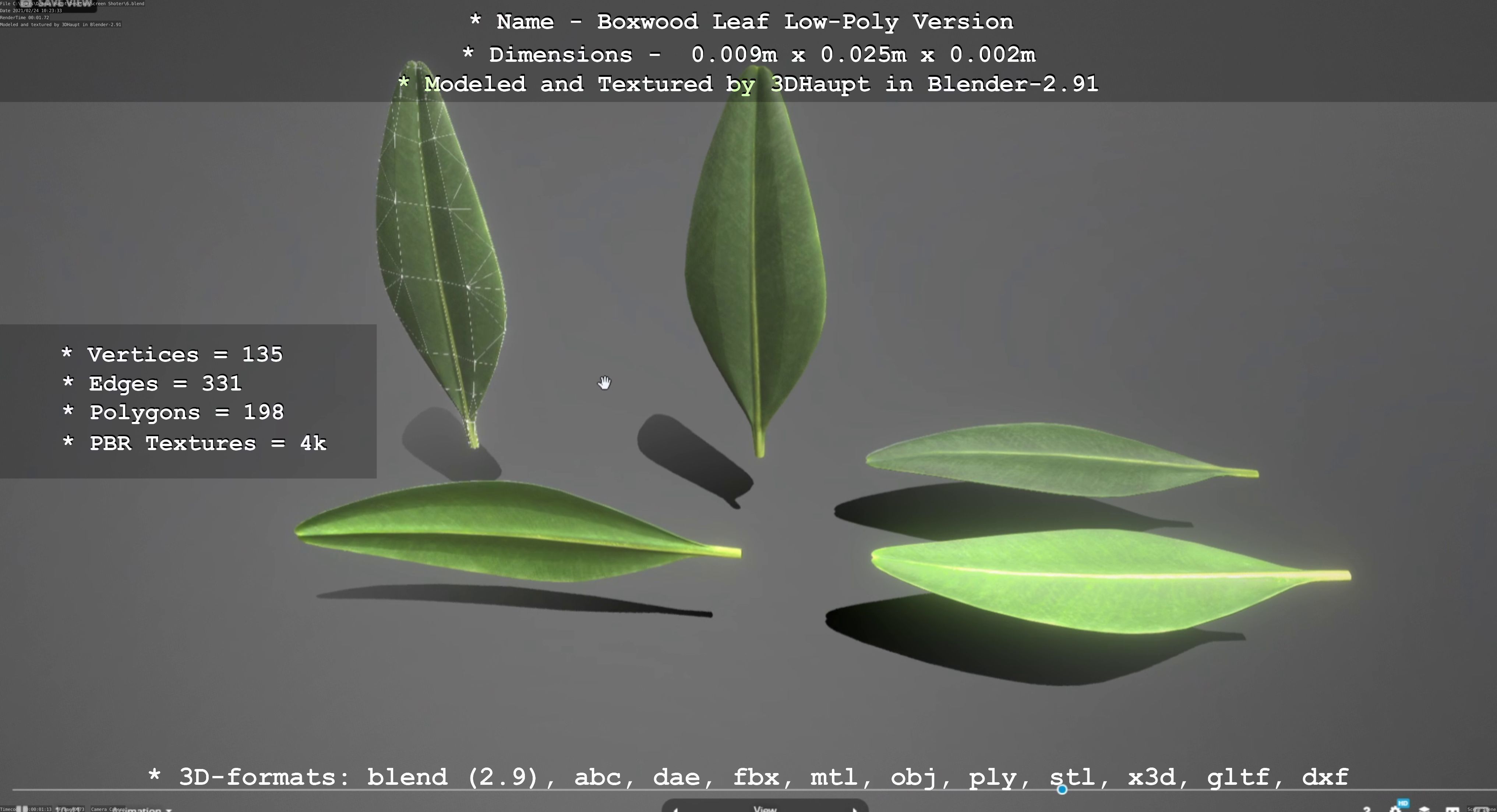 Boxwood Leaf Low-Poly Version Low-poly 3D model_102