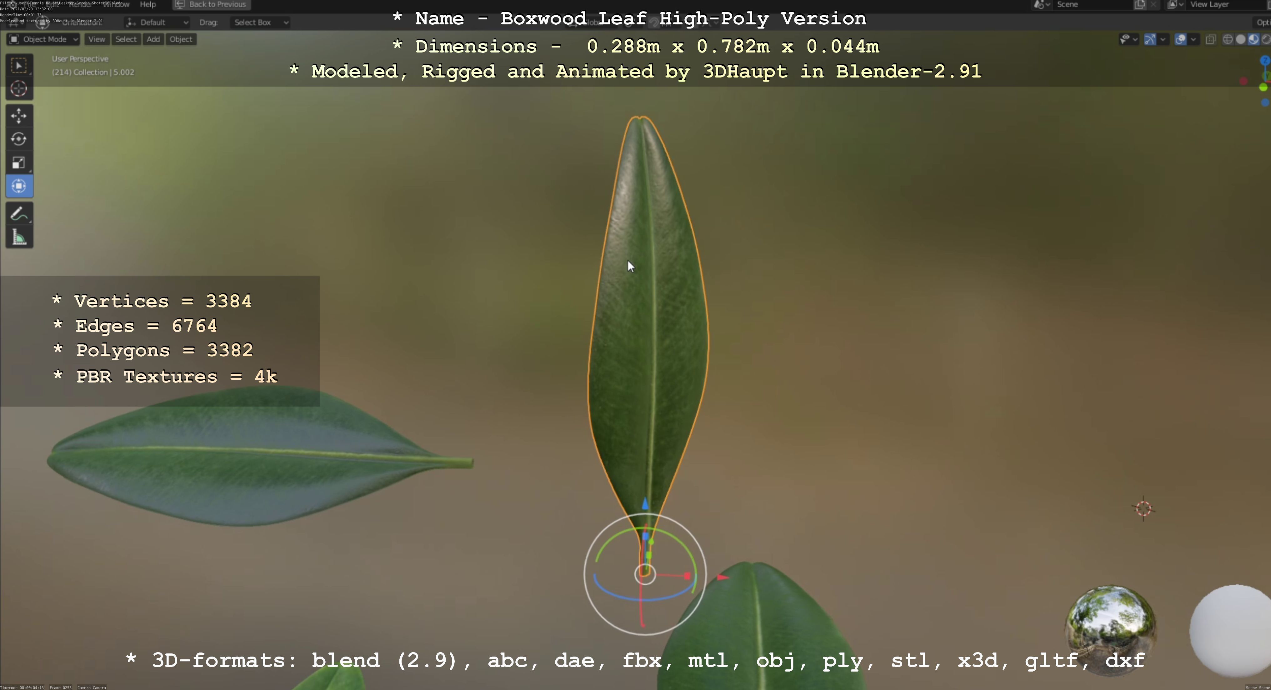 Boxwood Leaf Low and High-Poly Version 3D Model Collection_51