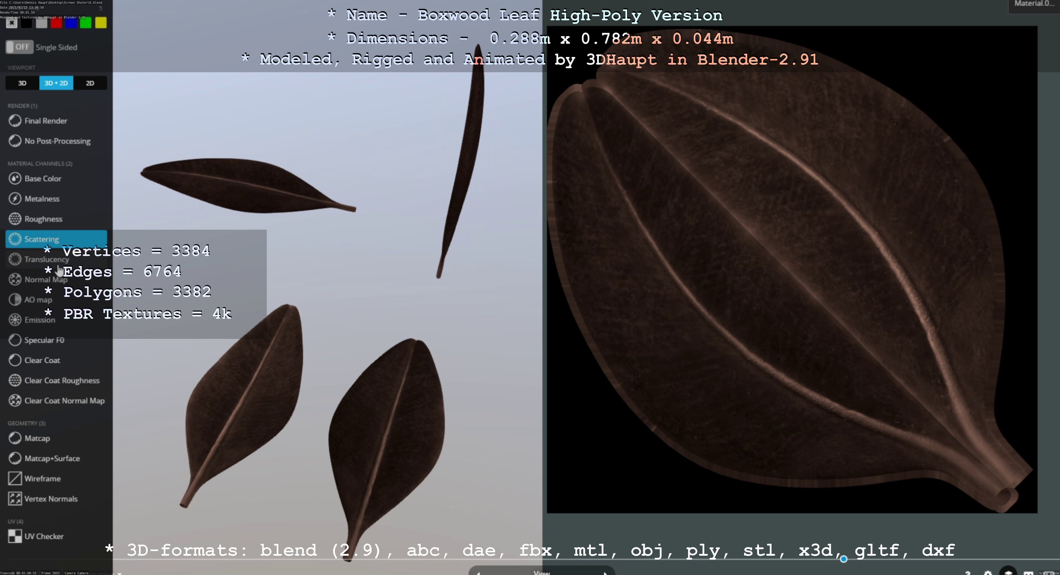 Boxwood Leaf Low and High-Poly Version 3D Model Collection_37