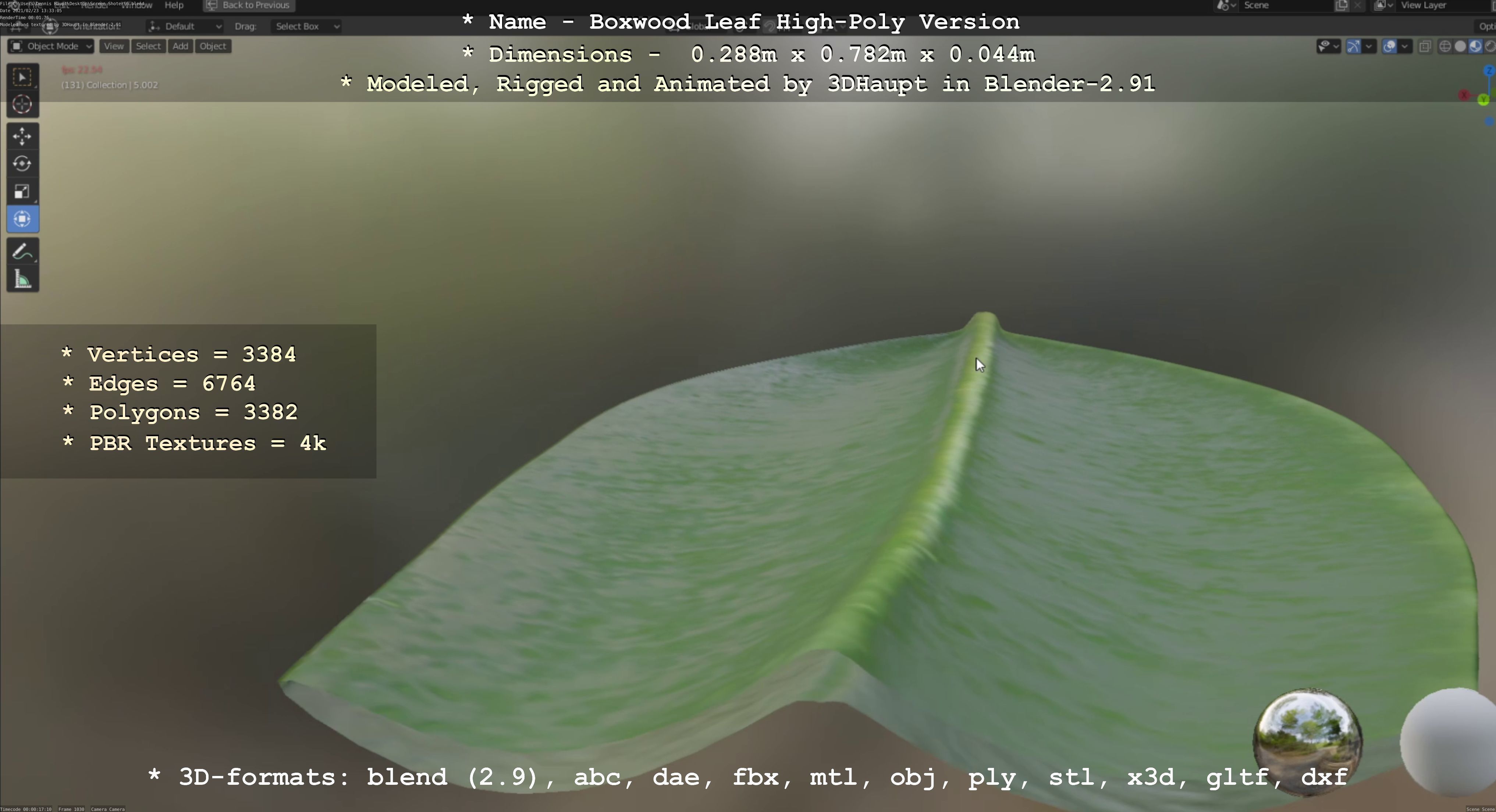 Boxwood Leaf Low and High-Poly Version 3D Model Collection_49
