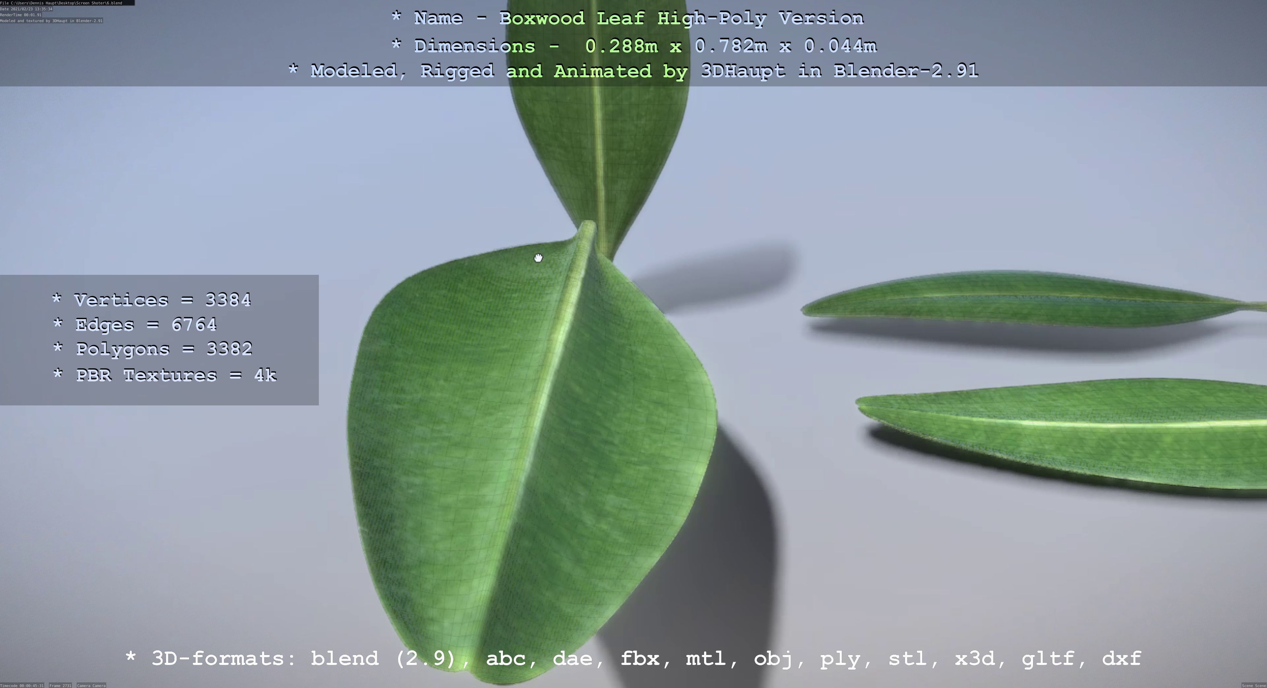 Boxwood Leaf Low and High-Poly Version 3D Model Collection_34