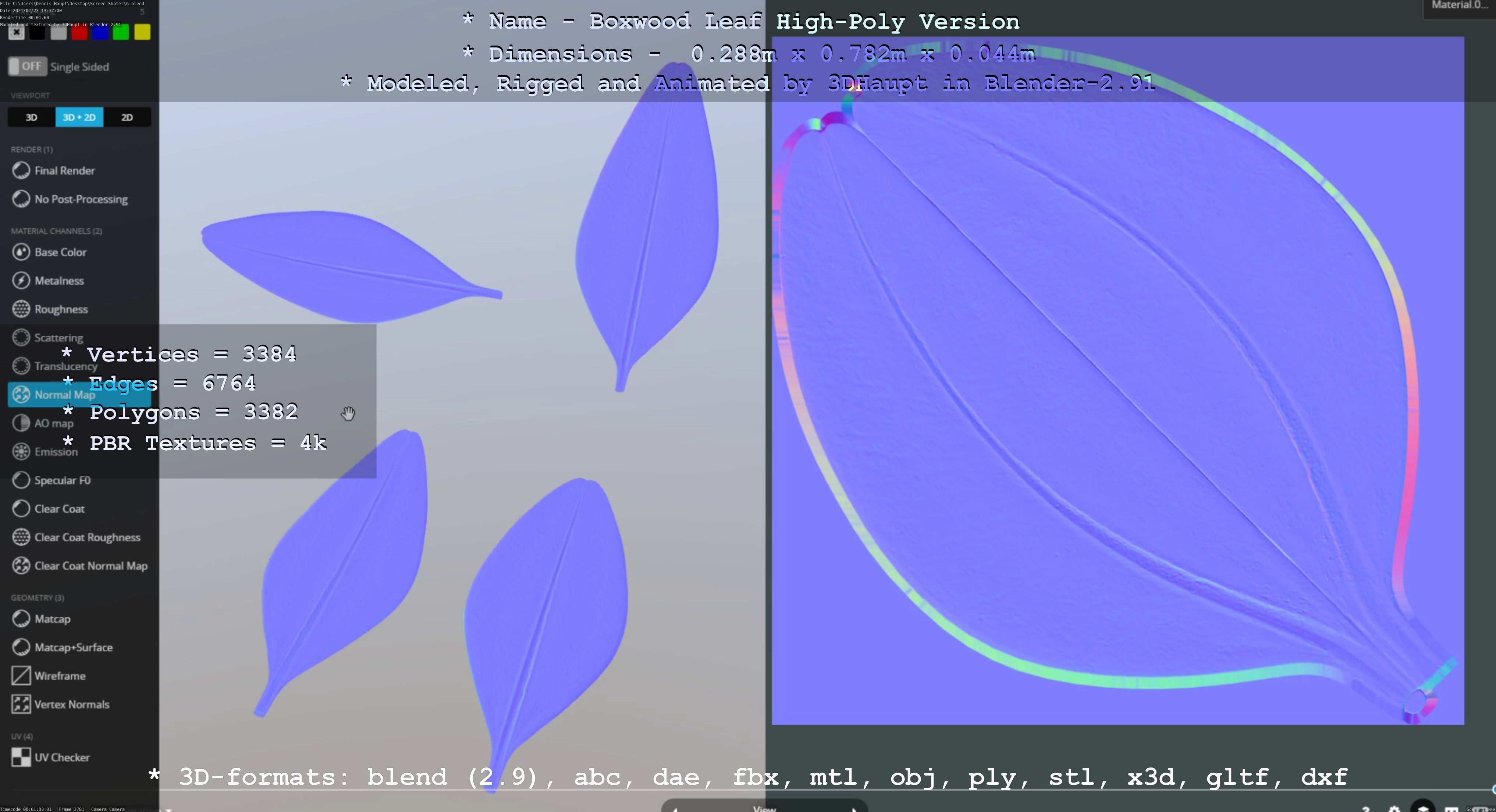 Boxwood Leaf Low and High-Poly Version 3D Model Collection_30