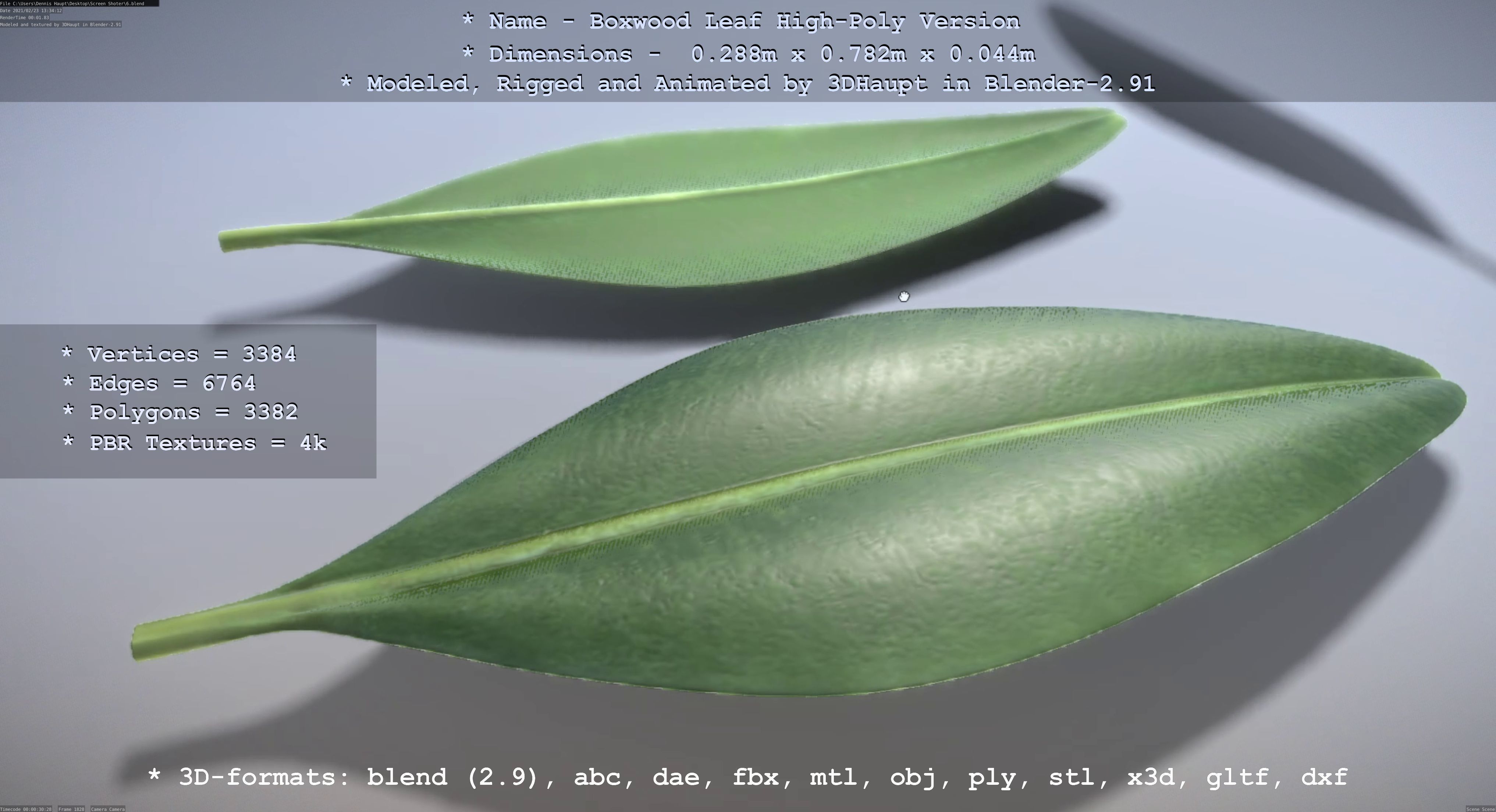 Boxwood Leaf Low and High-Poly Version 3D Model Collection_41