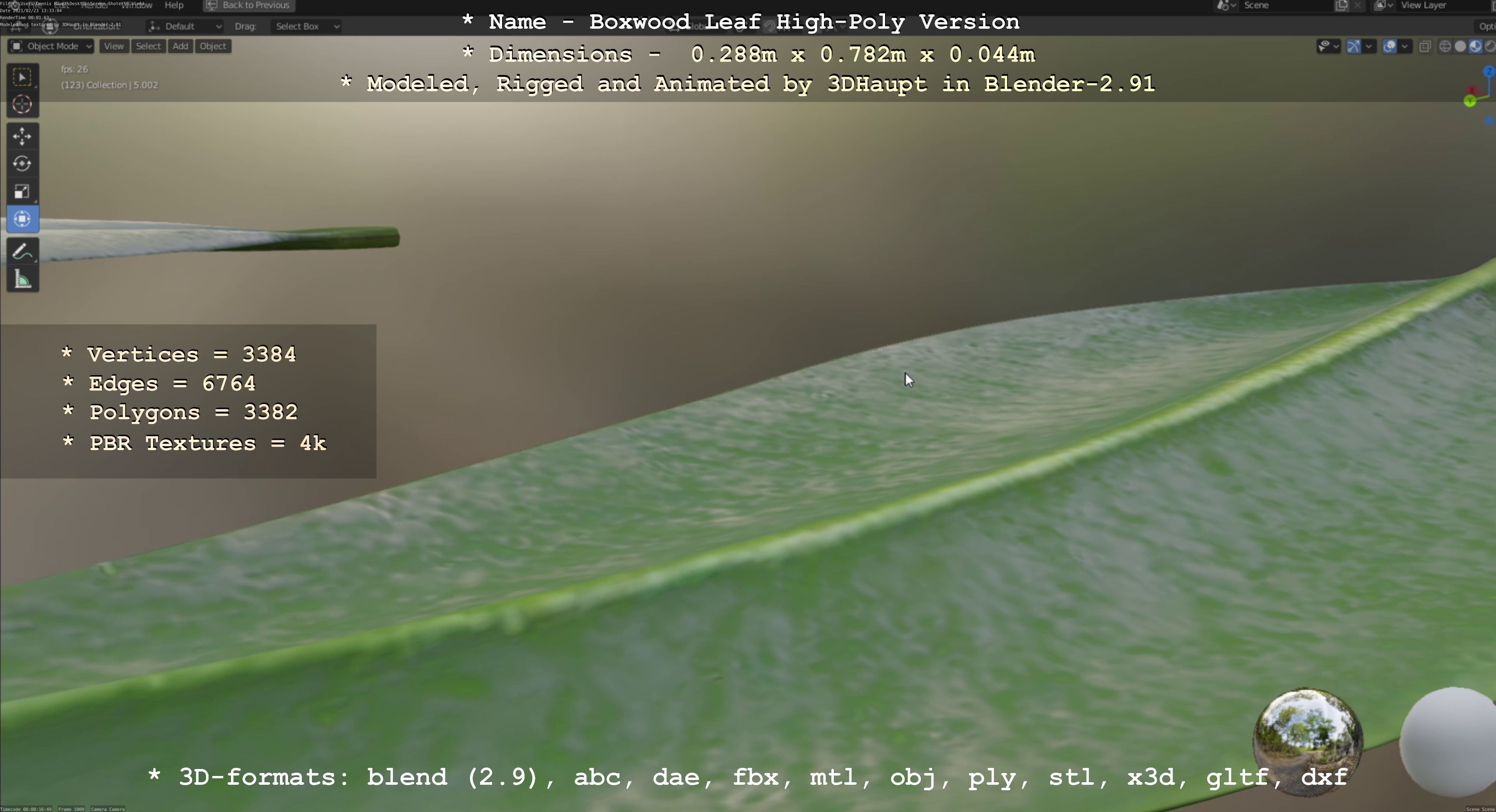 Boxwood Leaf Low and High-Poly Version 3D Model Collection_23