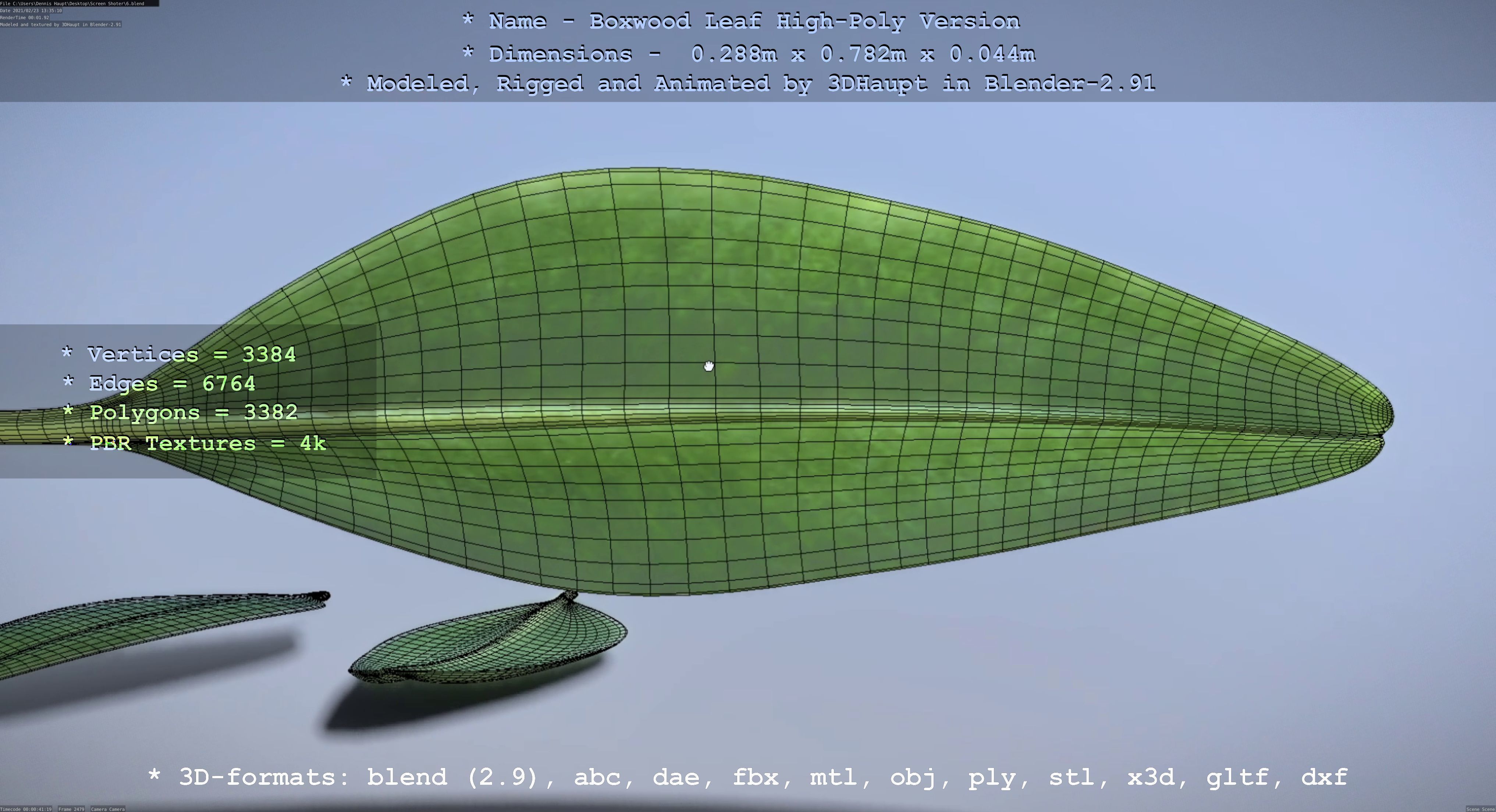 Boxwood Leaf Low and High-Poly Version 3D Model Collection_40