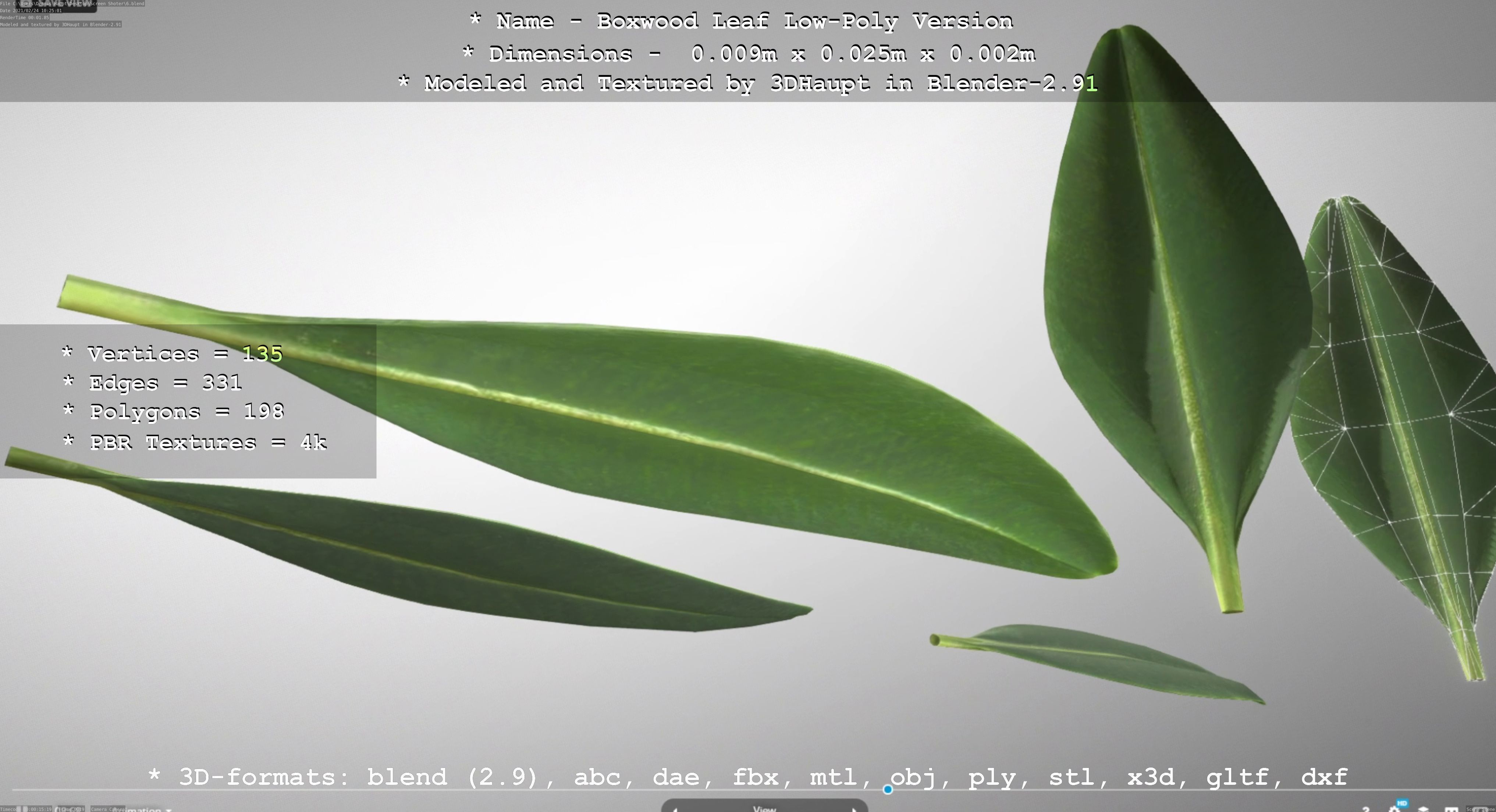 Boxwood Leaf Low and High-Poly Version 3D Model Collection_31