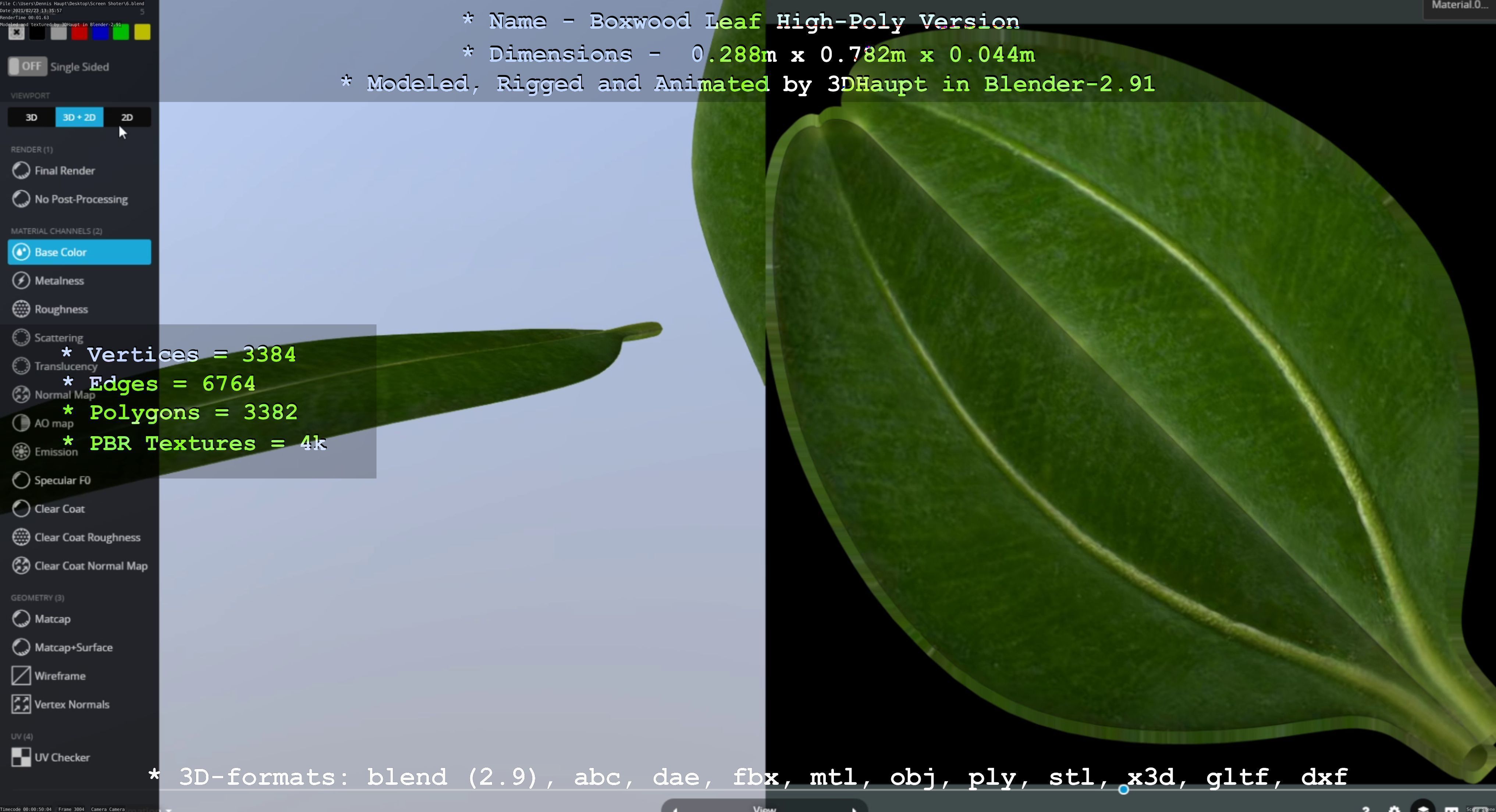 Boxwood Leaf Low and High-Poly Version 3D Model Collection_25