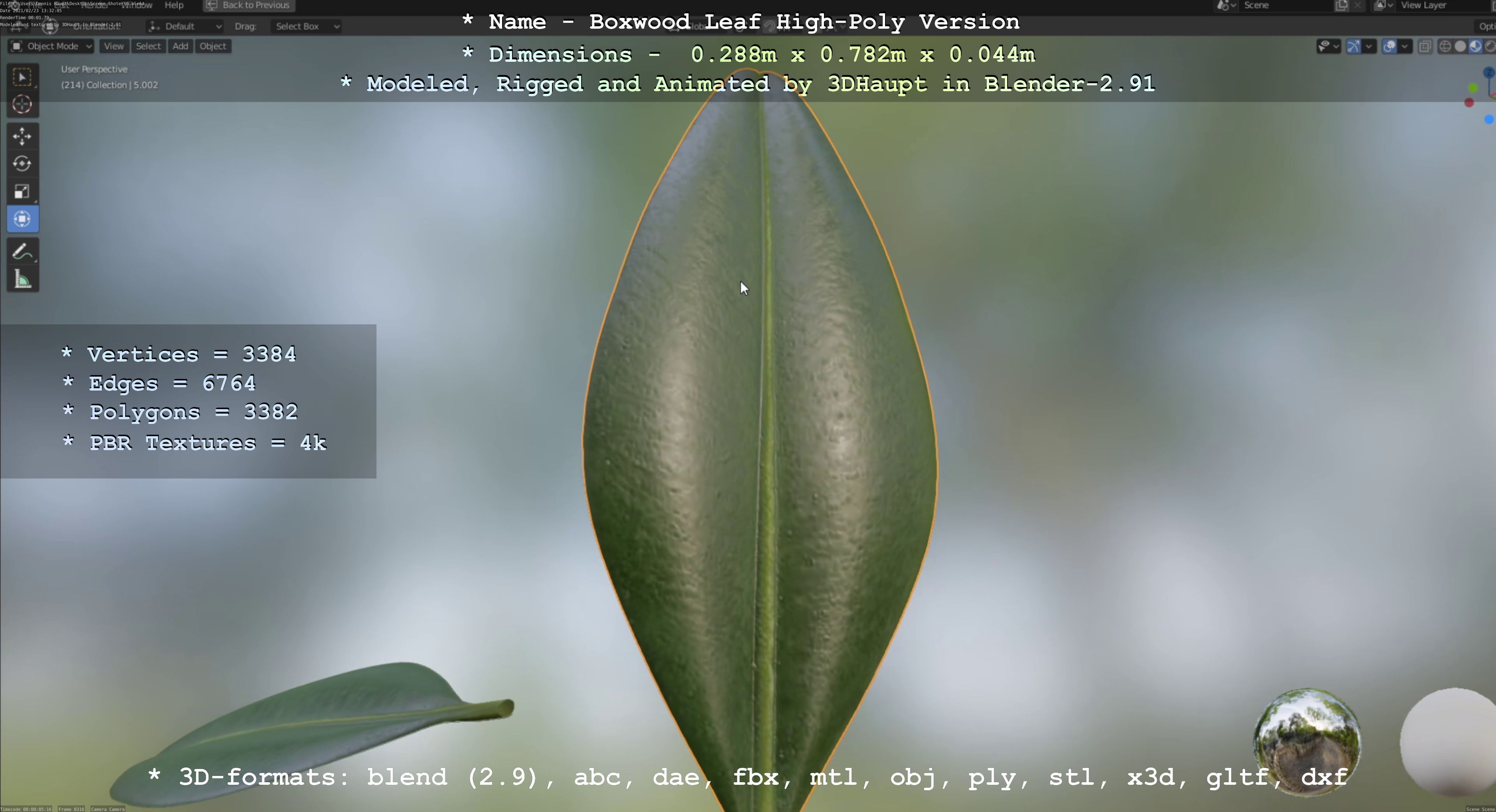Boxwood Leaf Low and High-Poly Version 3D Model Collection_29