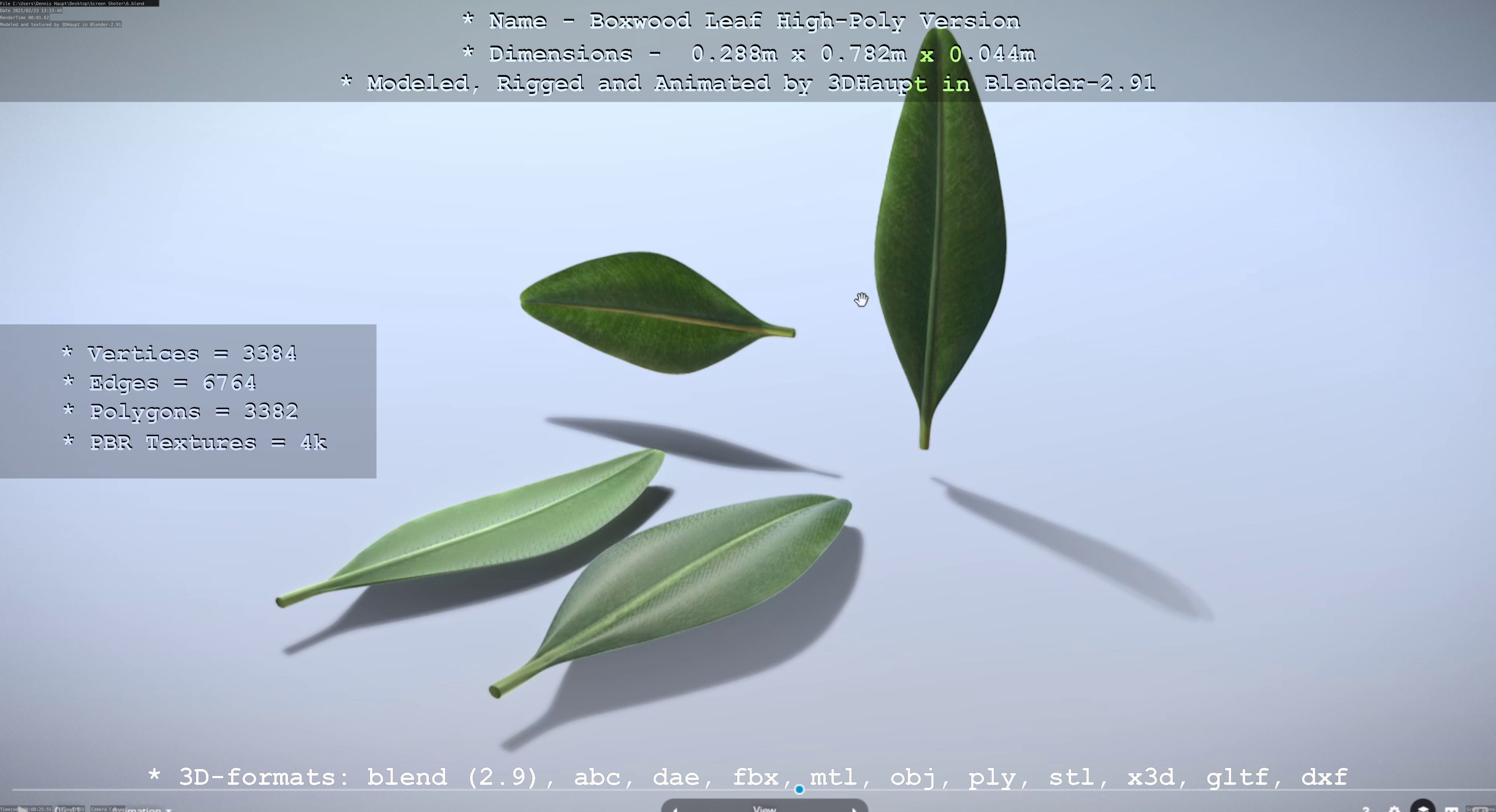 Boxwood Leaf Low and High-Poly Version 3D Model Collection_48