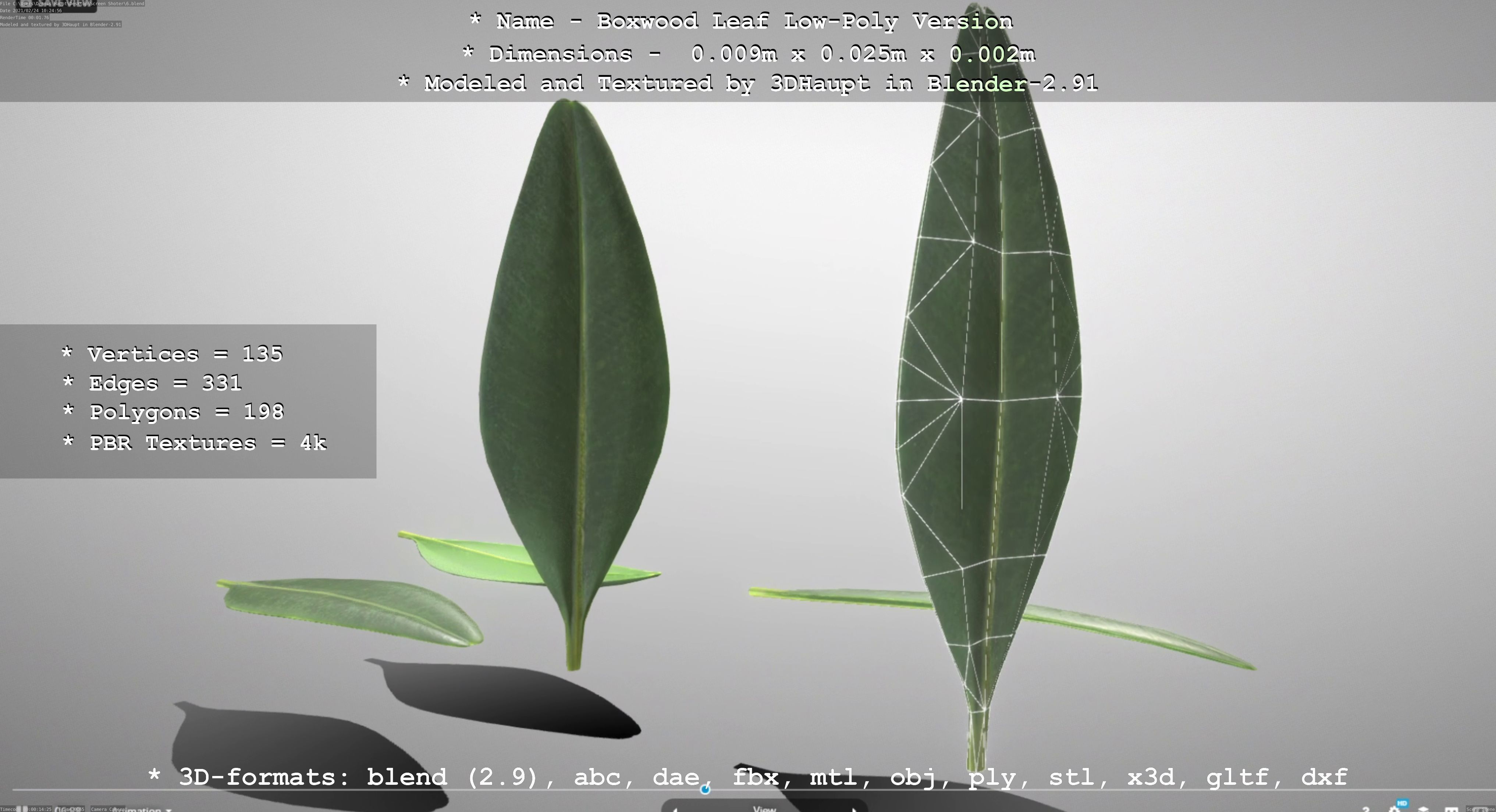 Boxwood Leaf Low and High-Poly Version 3D Model Collection_44