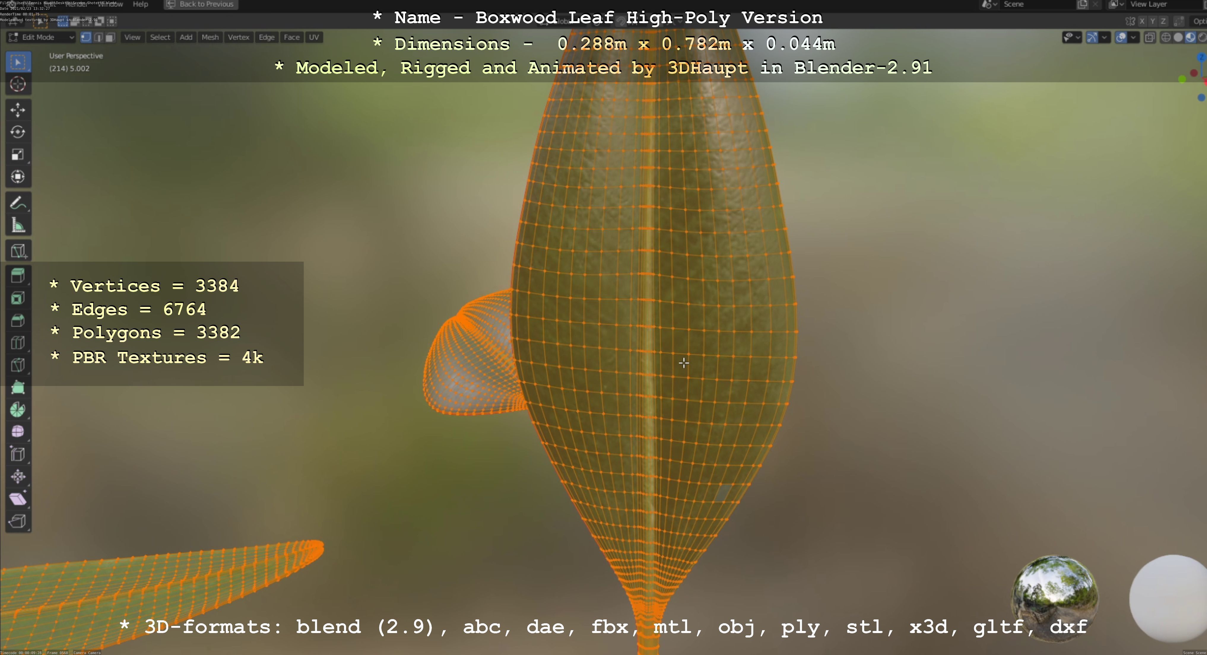 Boxwood Leaf Low and High-Poly Version 3D Model Collection_24