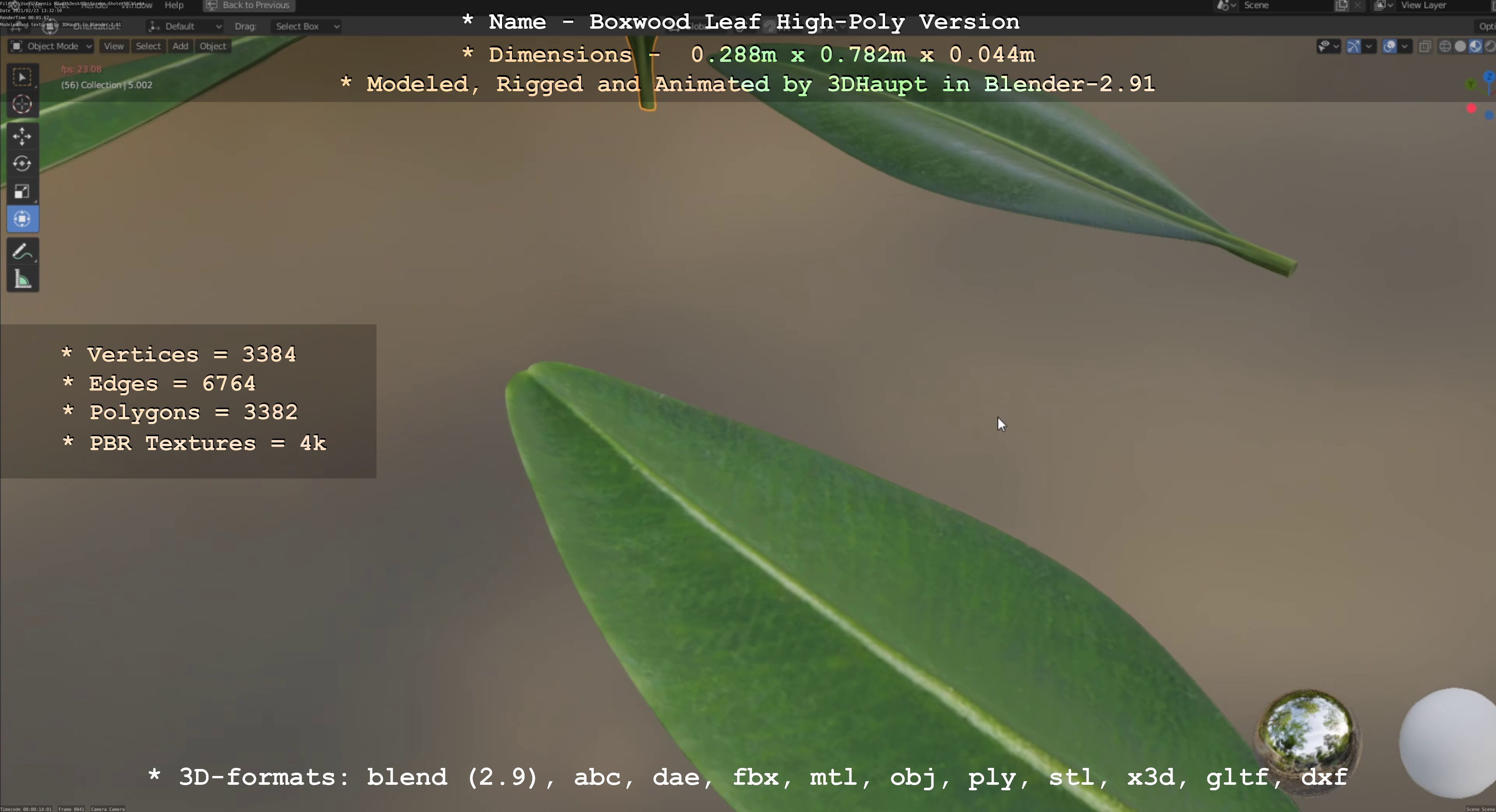 Boxwood Leaf Low and High-Poly Version 3D Model Collection_38