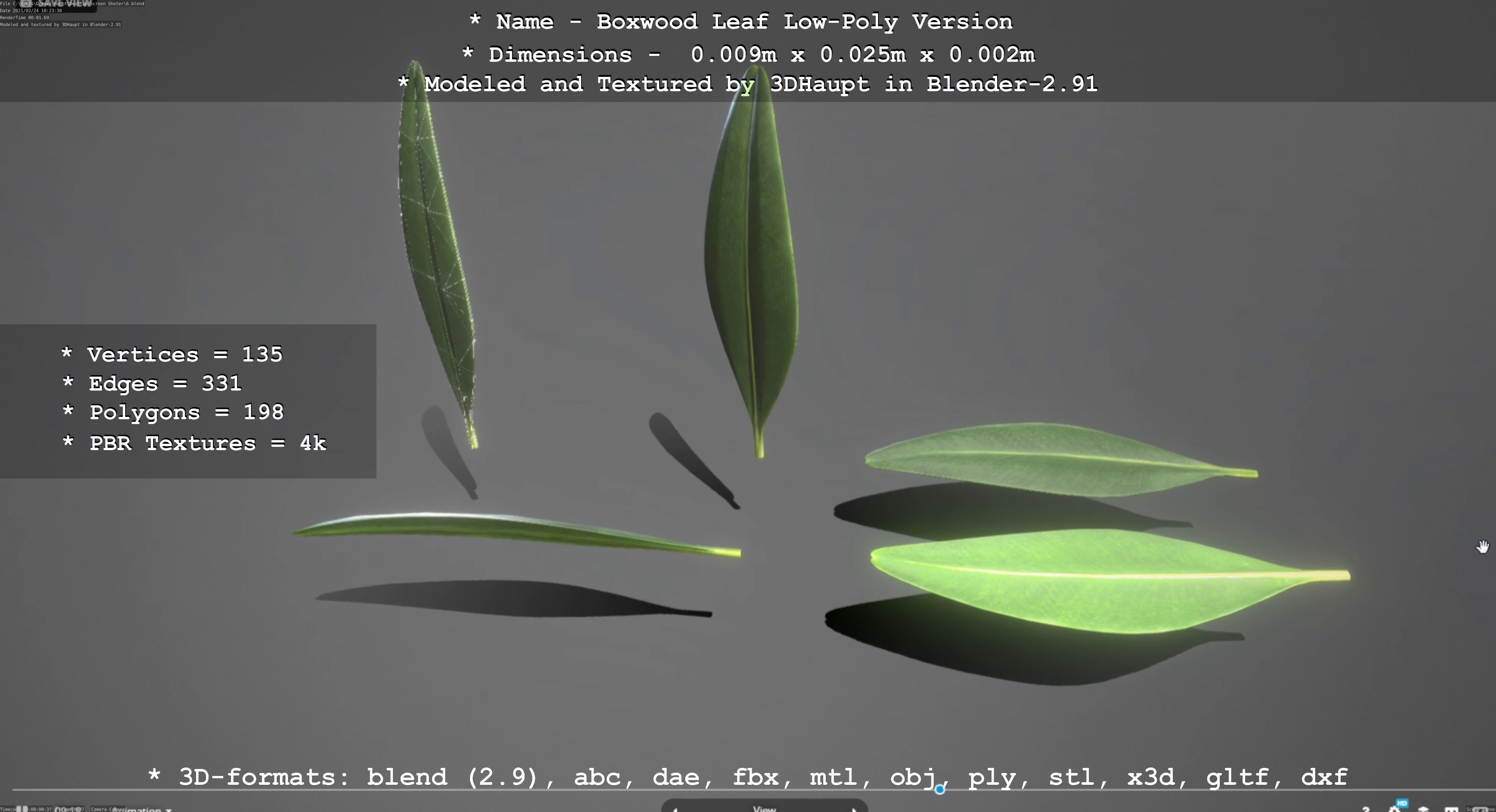 Boxwood Leaf Low and High-Poly Version 3D Model Collection_7
