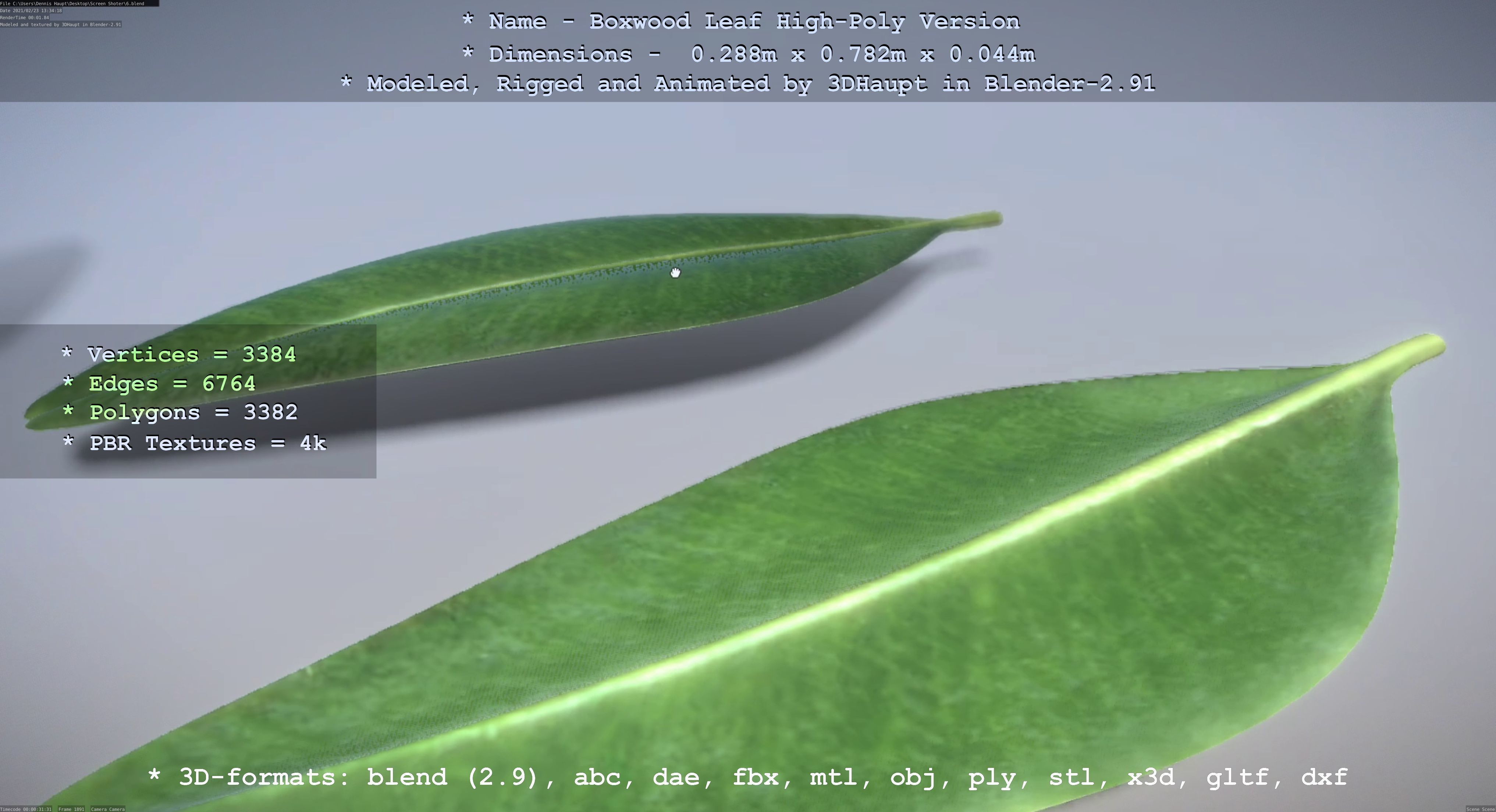 Boxwood Leaf Low and High-Poly Version 3D Model Collection_28