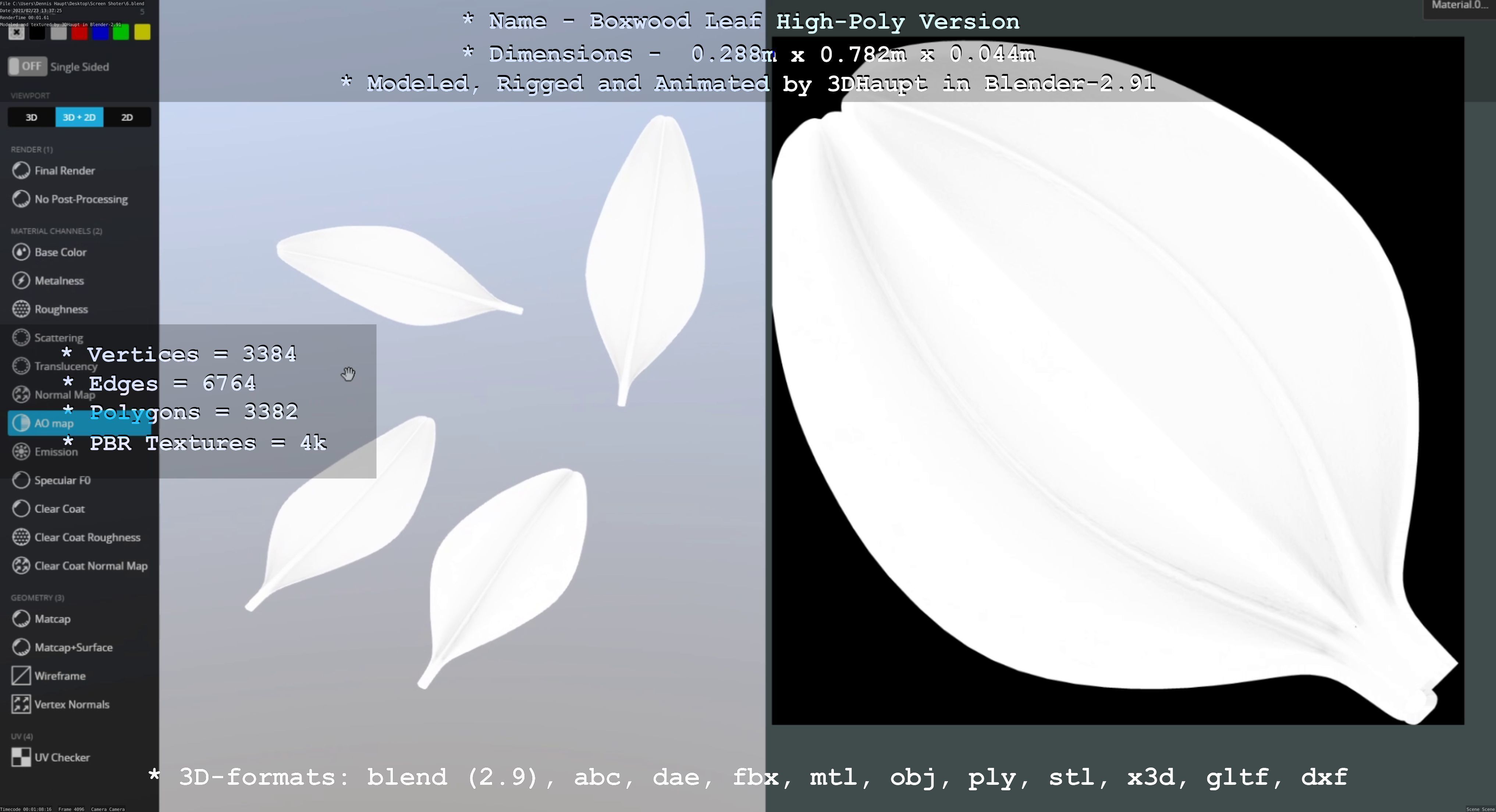 Boxwood Leaf Low and High-Poly Version 3D Model Collection_26