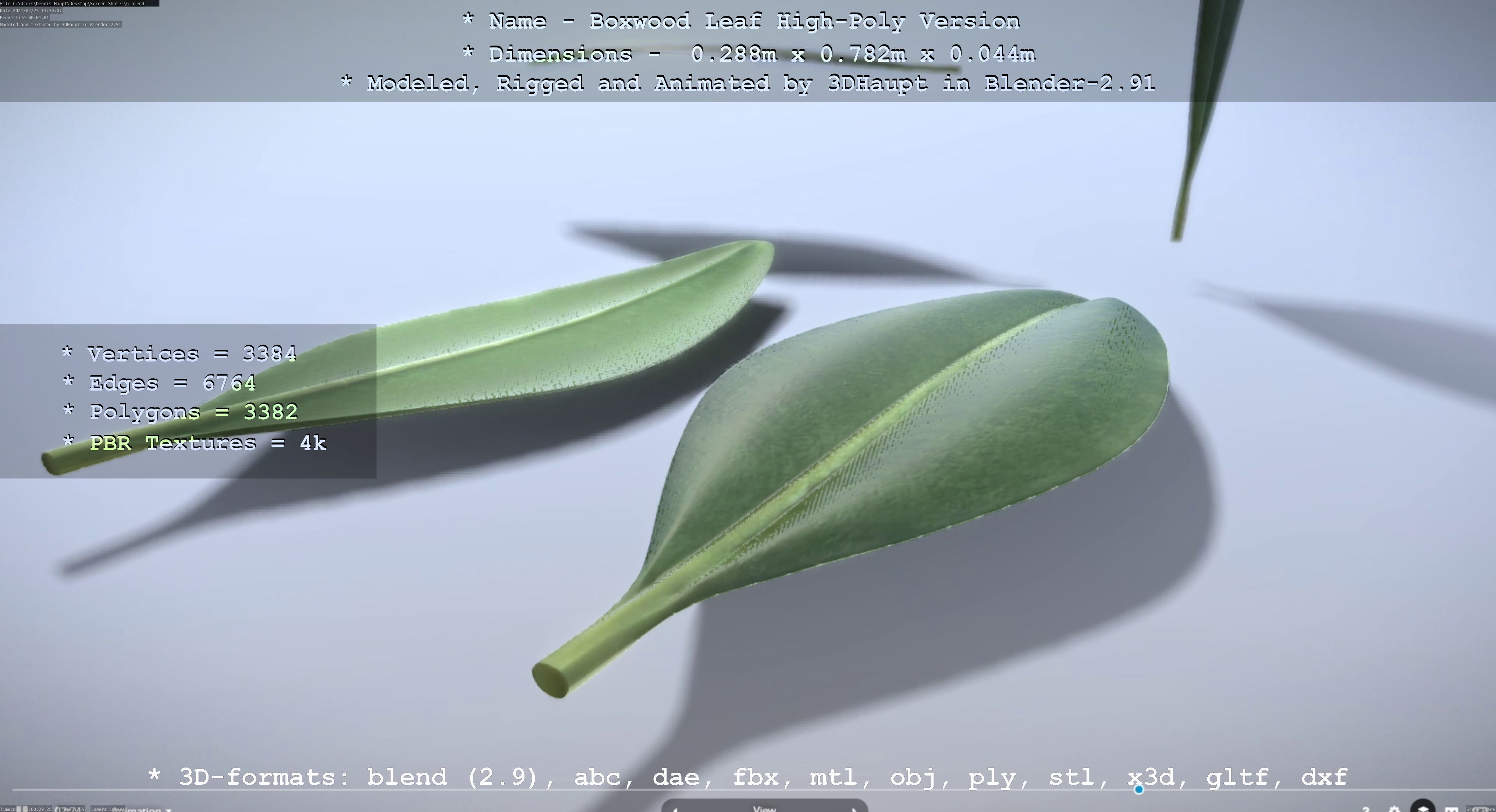 Boxwood Leaf Low and High-Poly Version 3D Model Collection_14