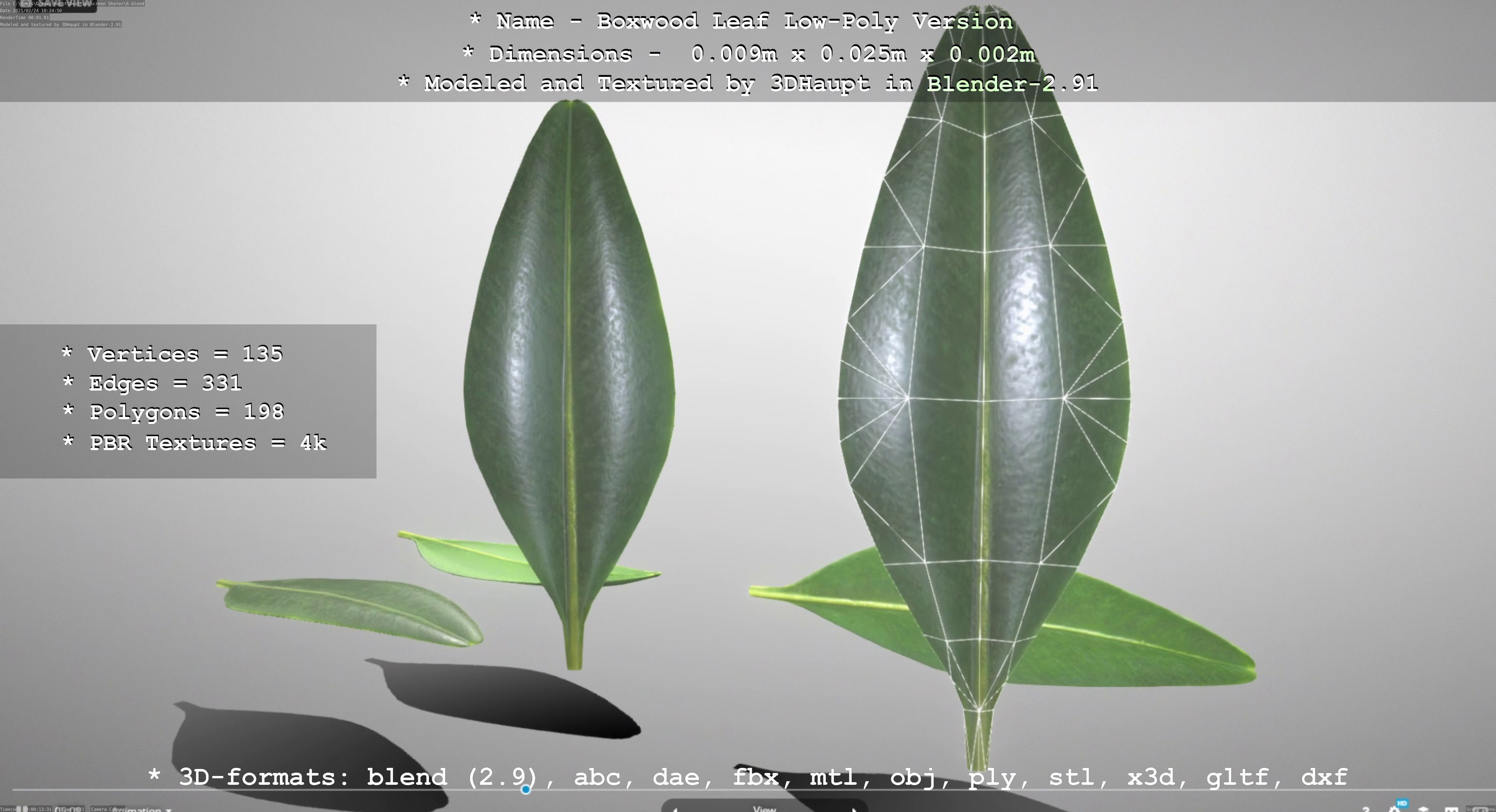 Boxwood Leaf Low and High-Poly Version 3D Model Collection_32