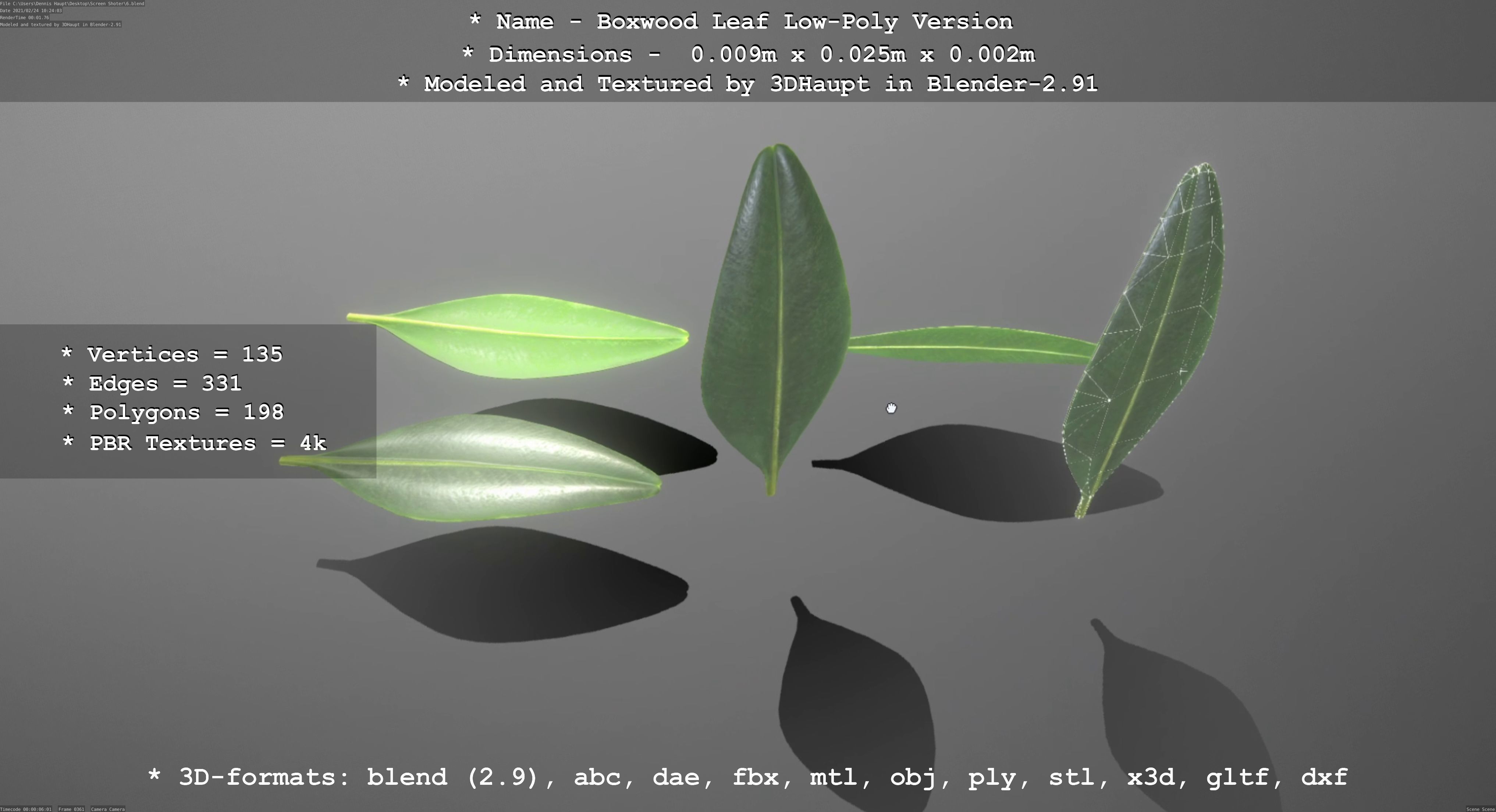 Boxwood Leaf Low and High-Poly Version 3D Model Collection_11