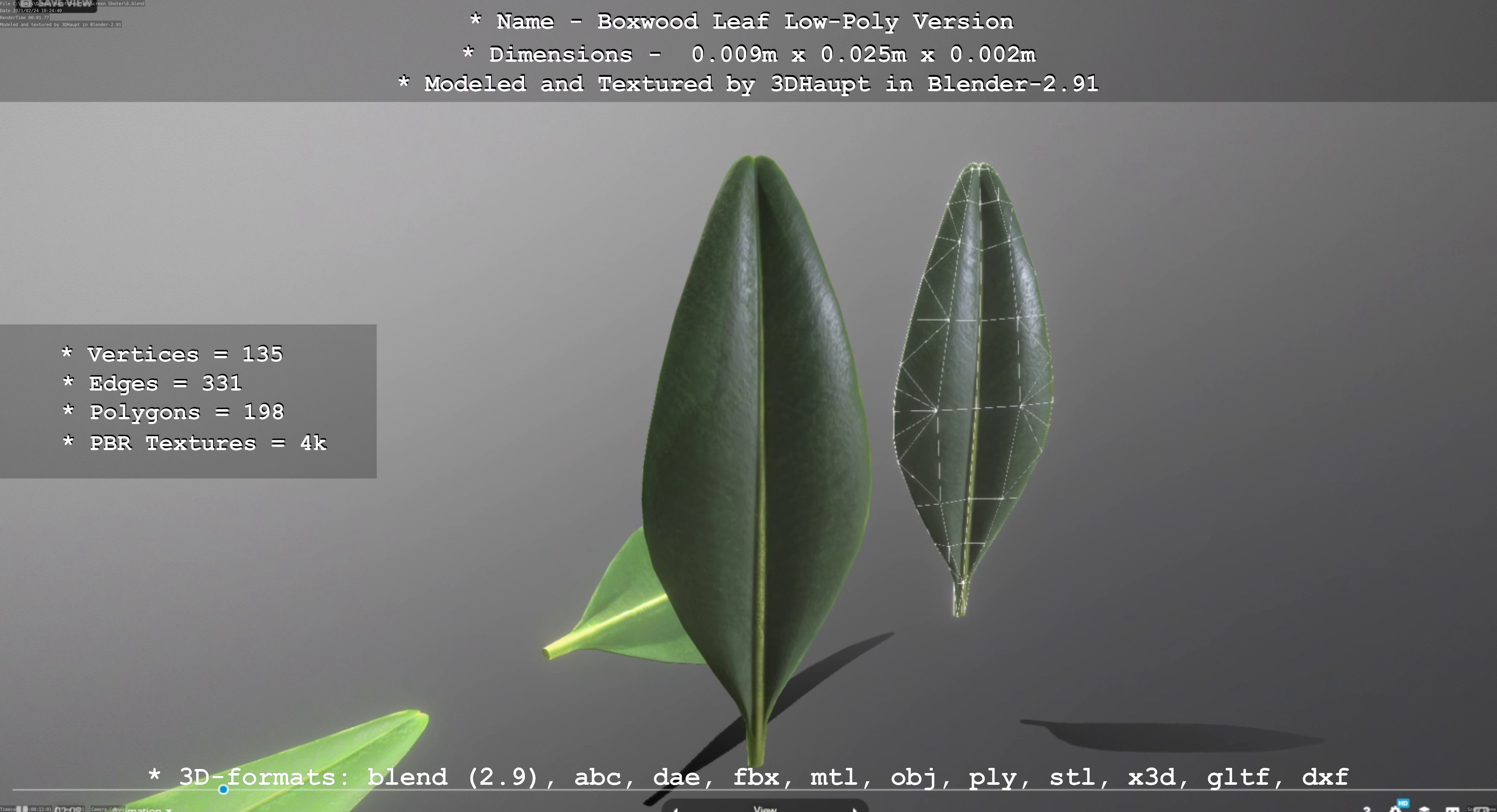Boxwood Leaf Low and High-Poly Version 3D Model Collection_45