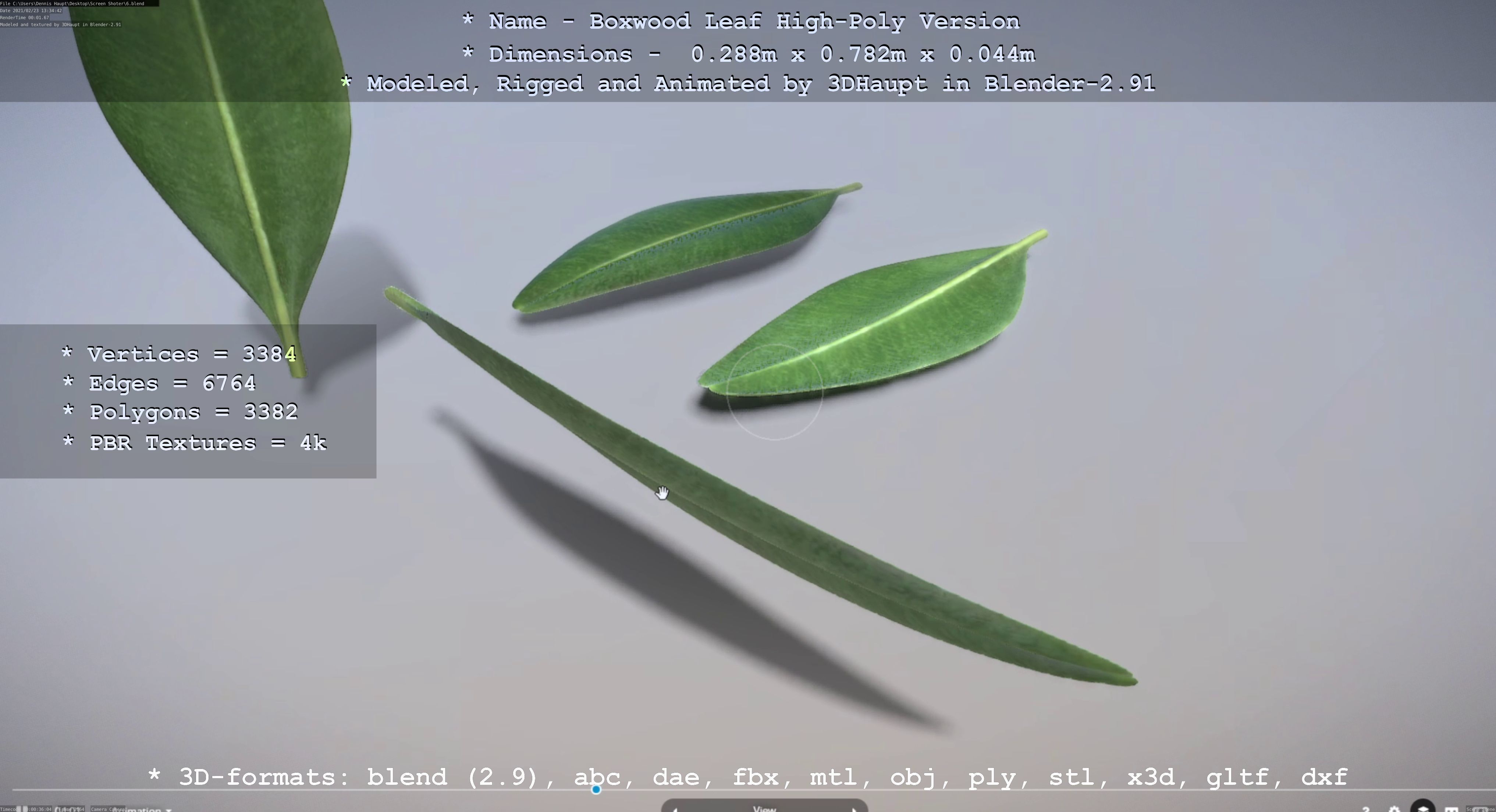 Boxwood Leaf Low and High-Poly Version 3D Model Collection_20
