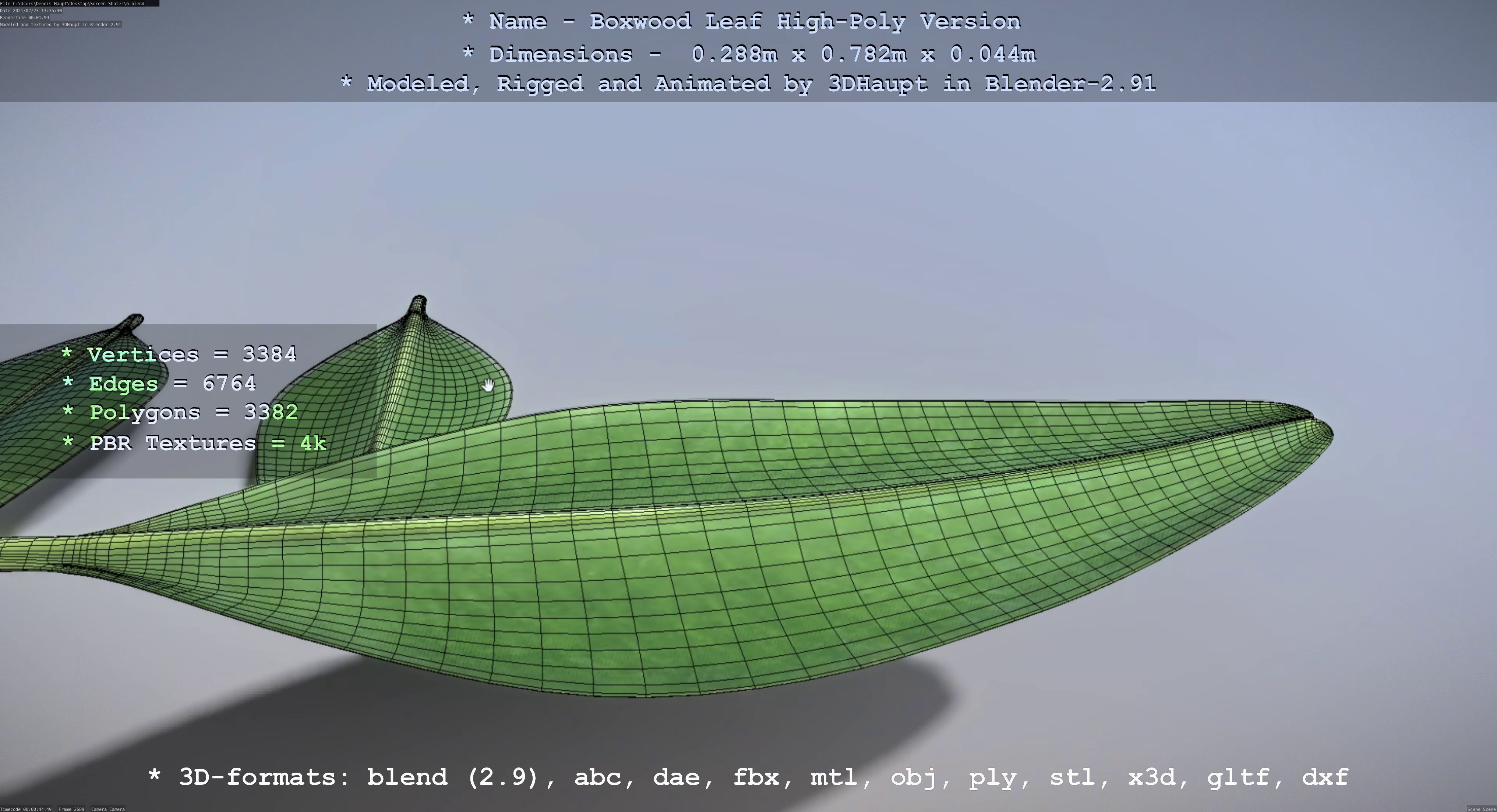 Boxwood Leaf Low and High-Poly Version 3D Model Collection_33