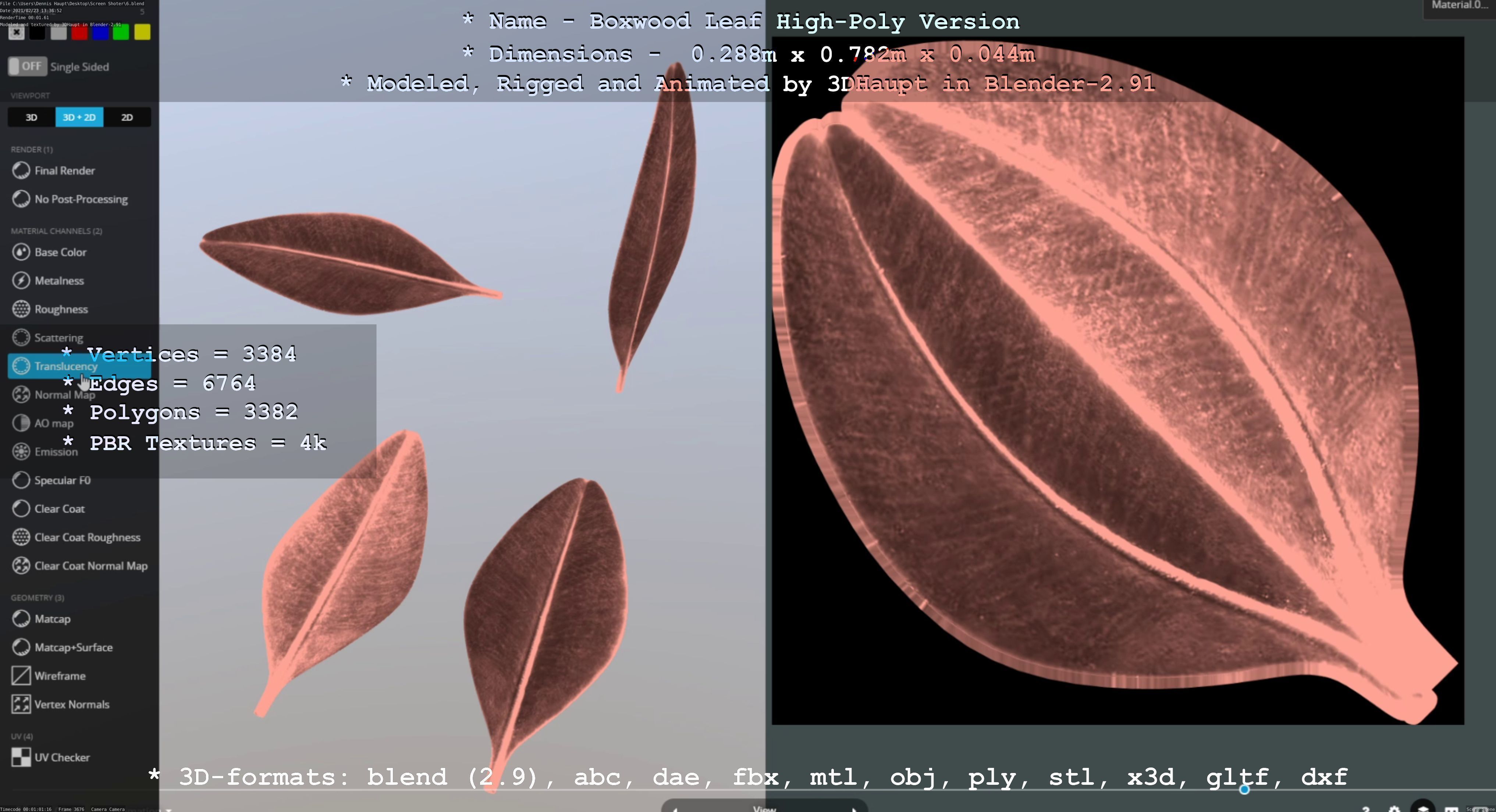 Boxwood Leaf Low and High-Poly Version 3D Model Collection_10