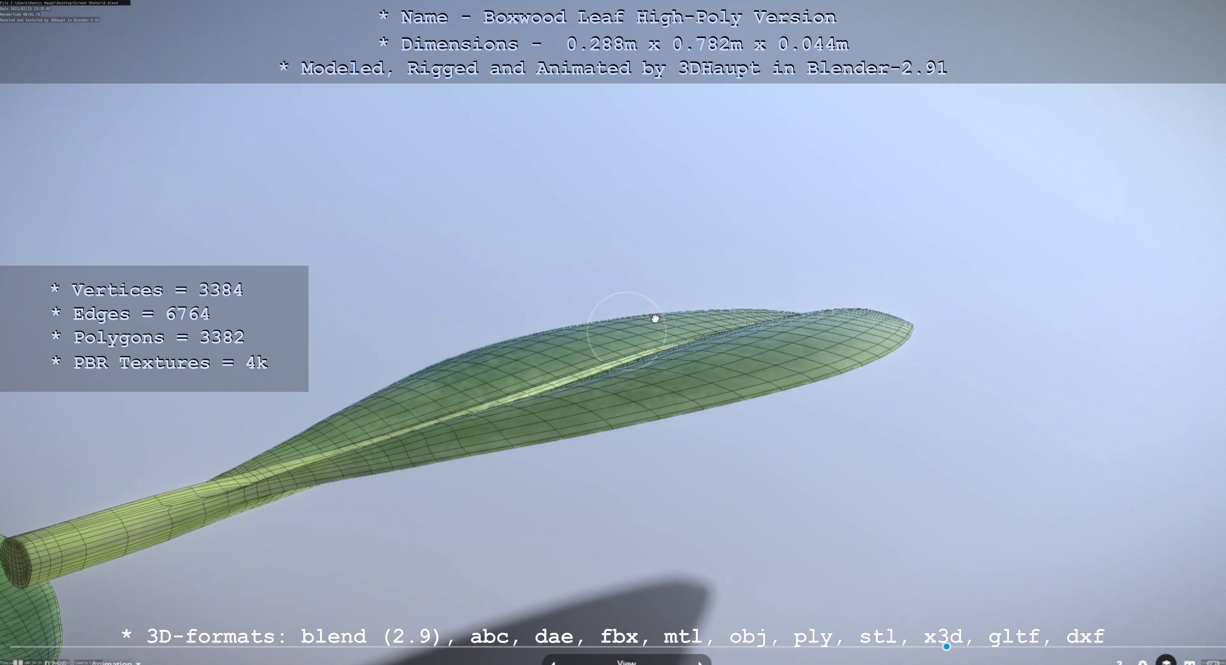 Boxwood Leaf Low and High-Poly Version 3D Model Collection_36