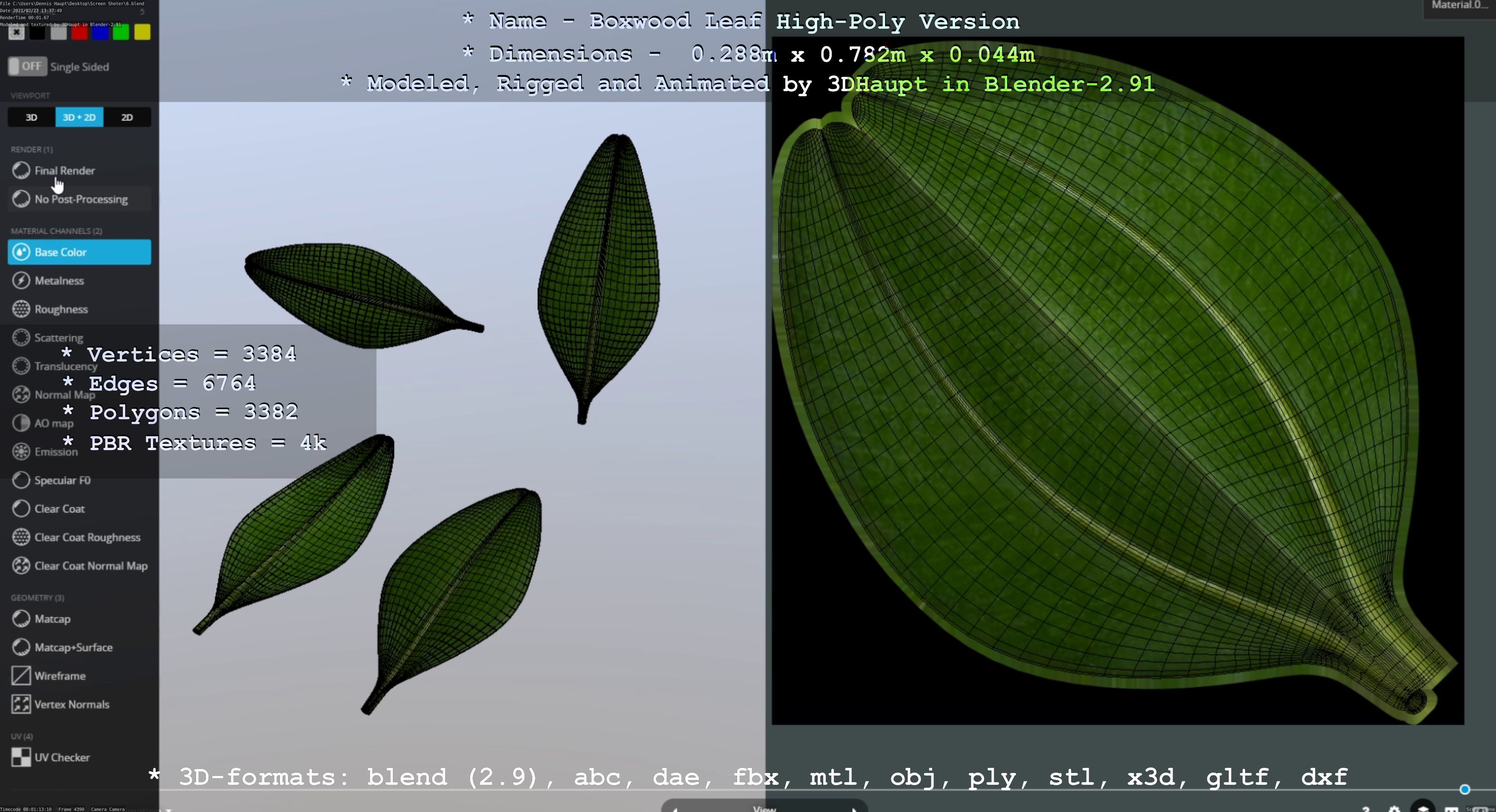 Boxwood Leaf Low and High-Poly Version 3D Model Collection_9