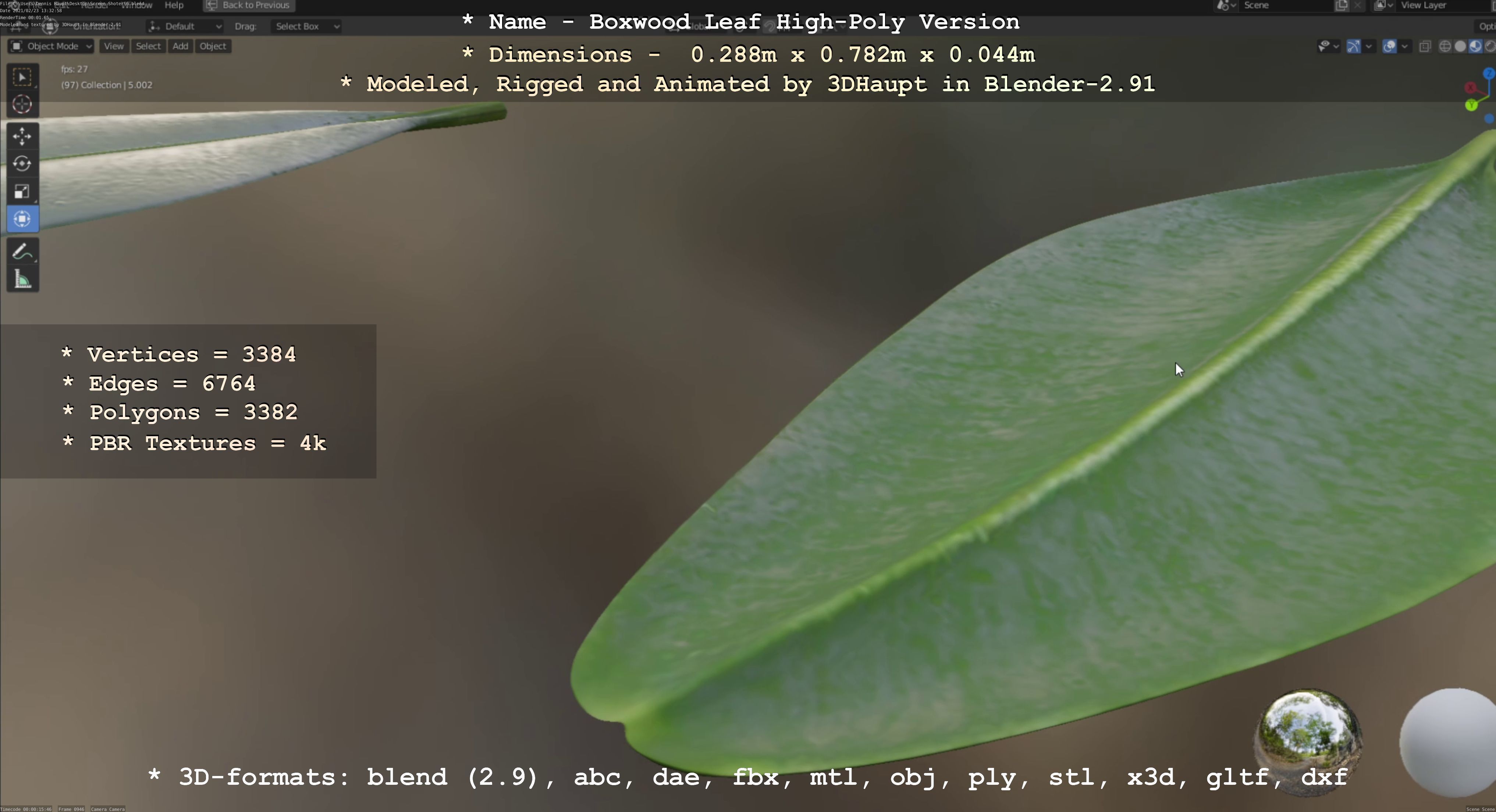 Boxwood Leaf Low and High-Poly Version 3D Model Collection_27
