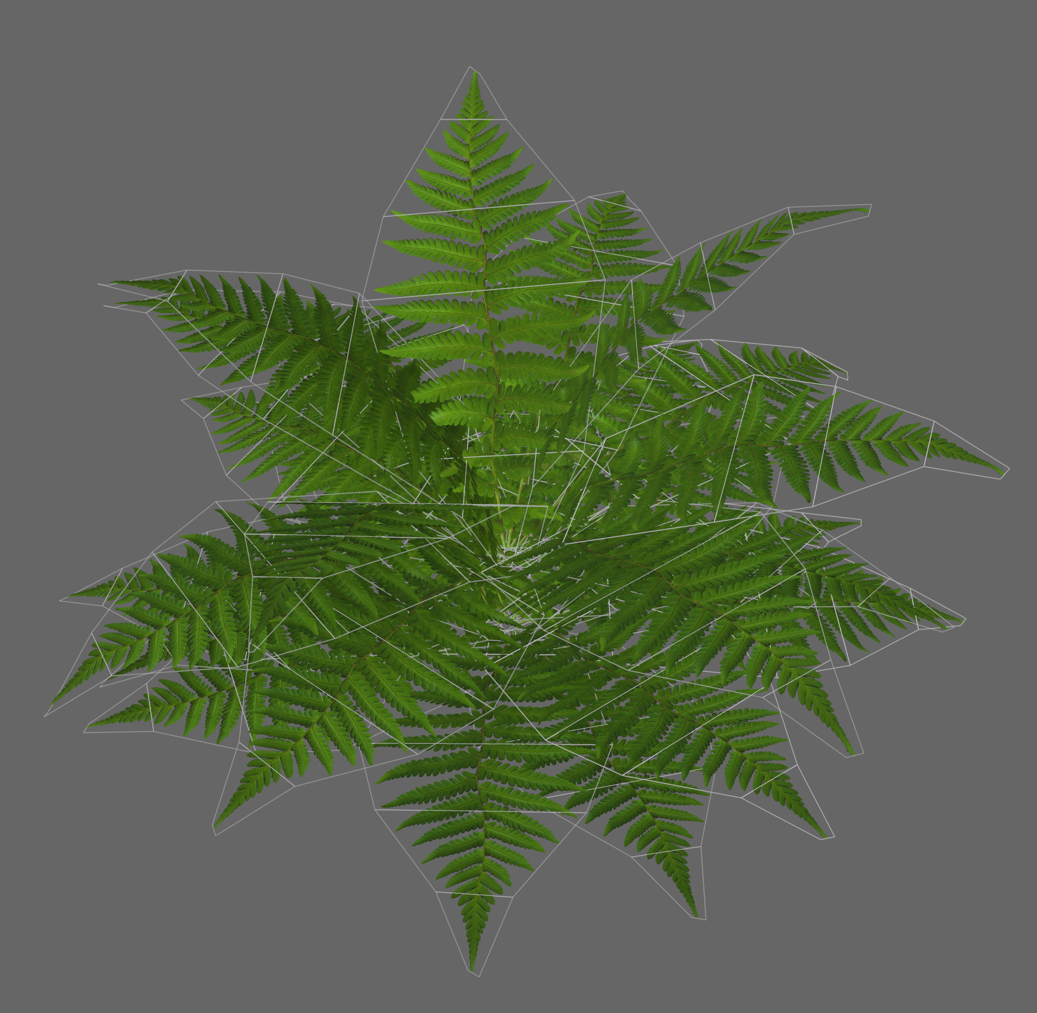 Tropical fern game-ready Low-poly 3D model_1