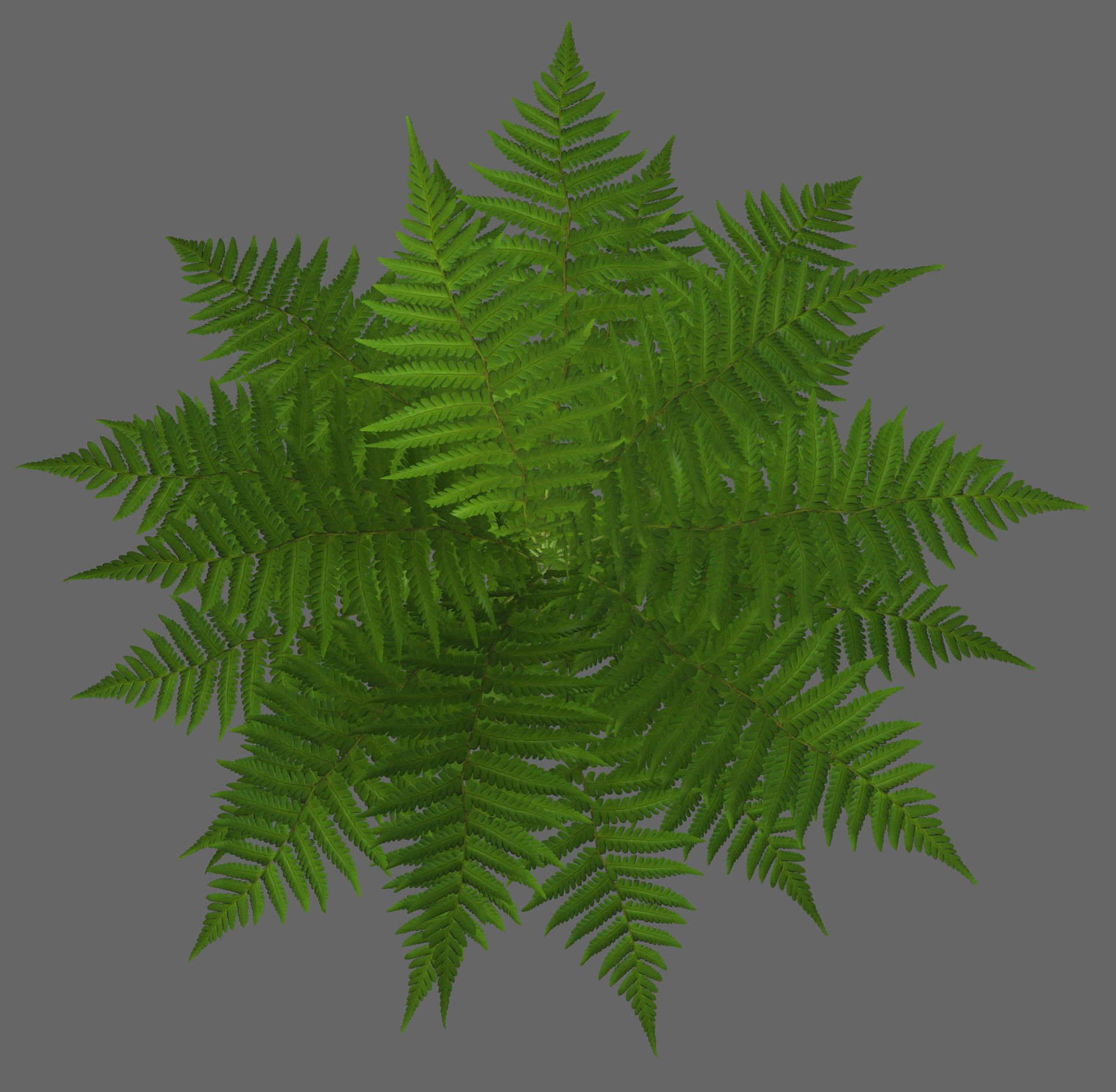 Tropical fern game-ready Low-poly 3D model_2