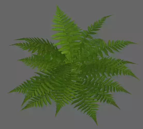 Tropical fern game-ready