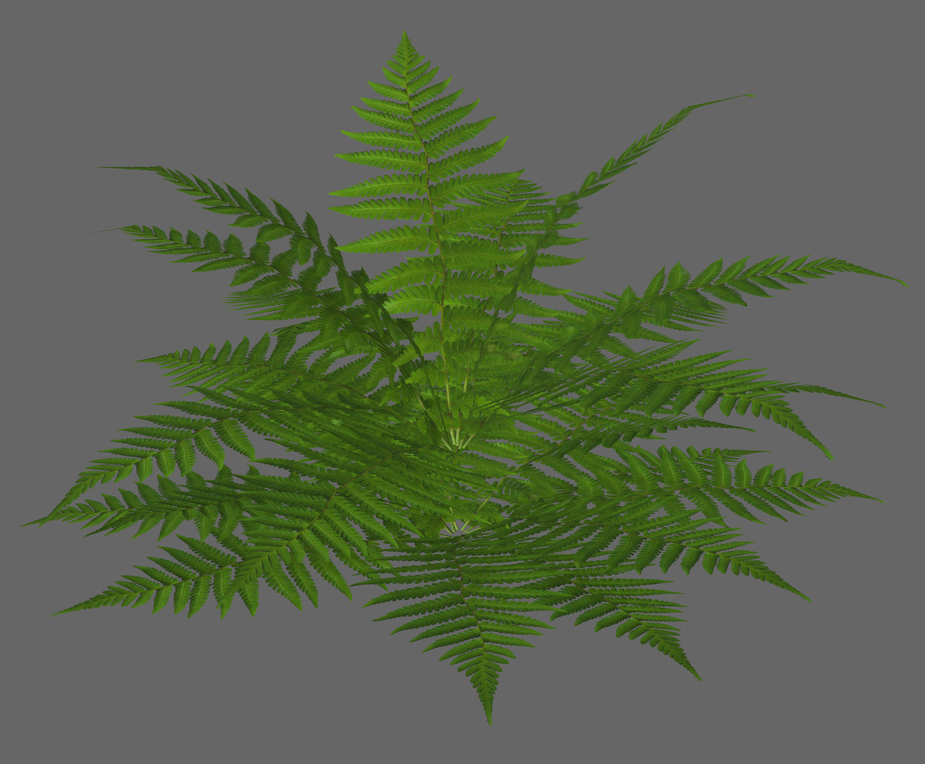 Tropical fern game-ready Low-poly 3D model_3