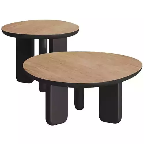 Liu Jo Living Collection Caillou Coffee Tables 3D model