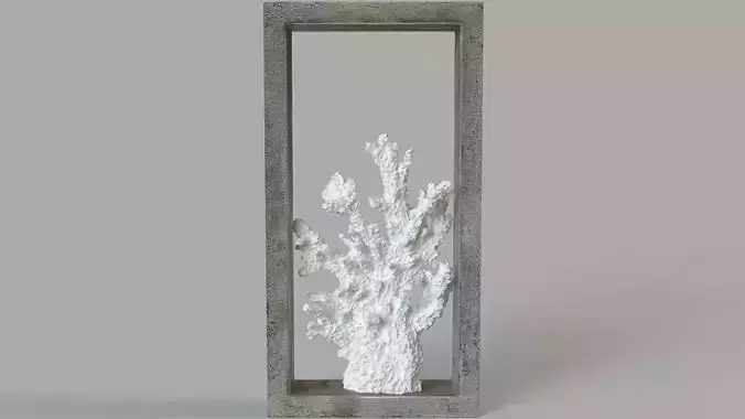 Finger Coral Shadowbox 3D model