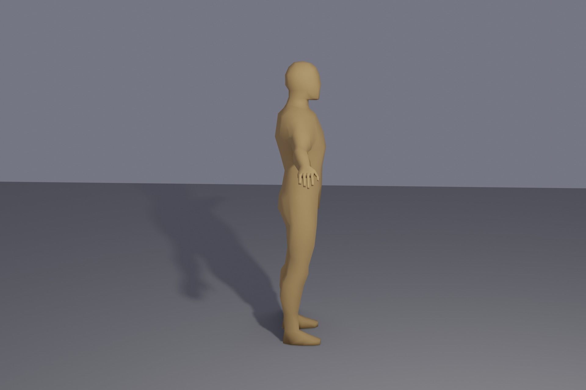 Low-poly rigged human Low-poly 3D model_4