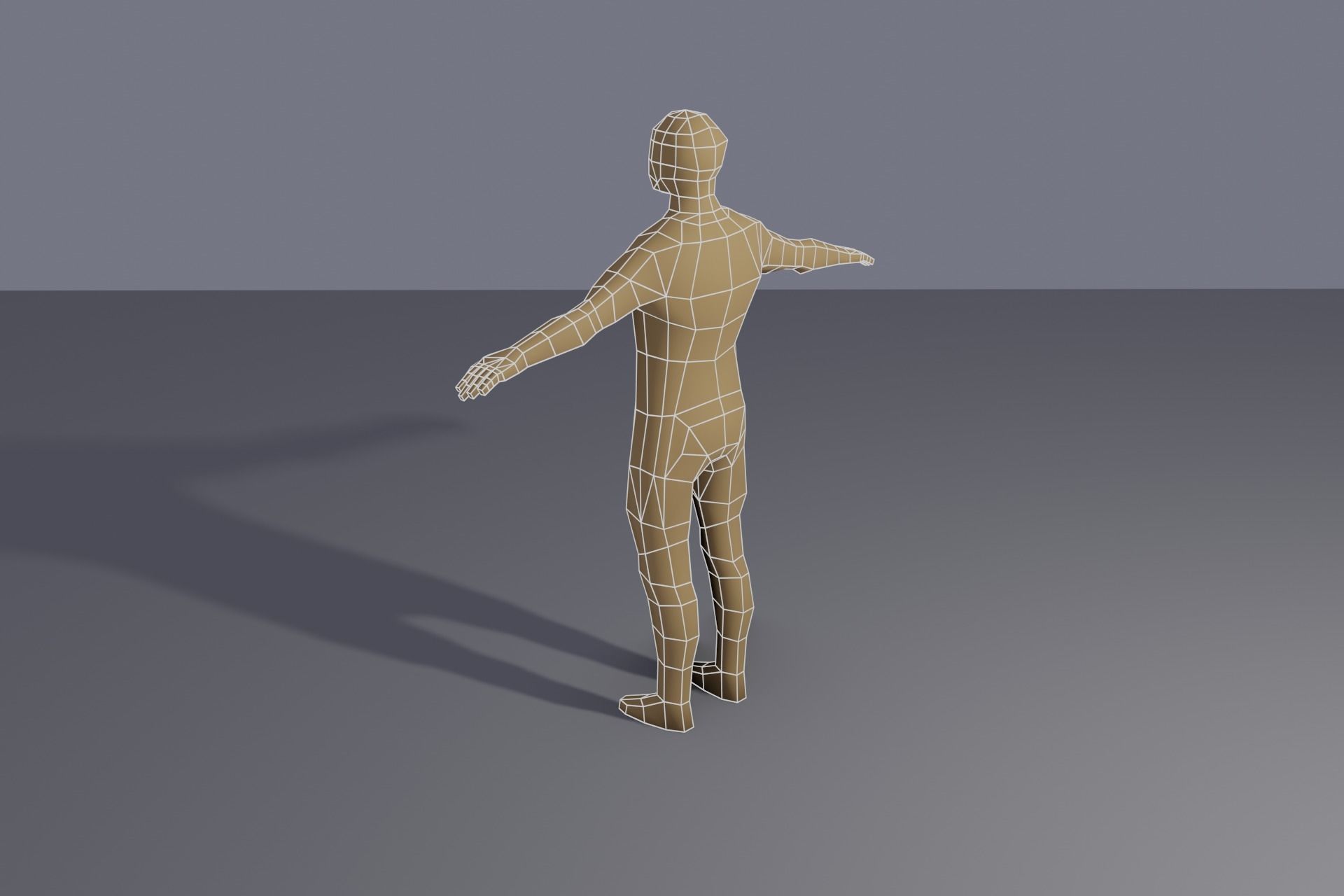 Low-poly rigged human Low-poly 3D model_6