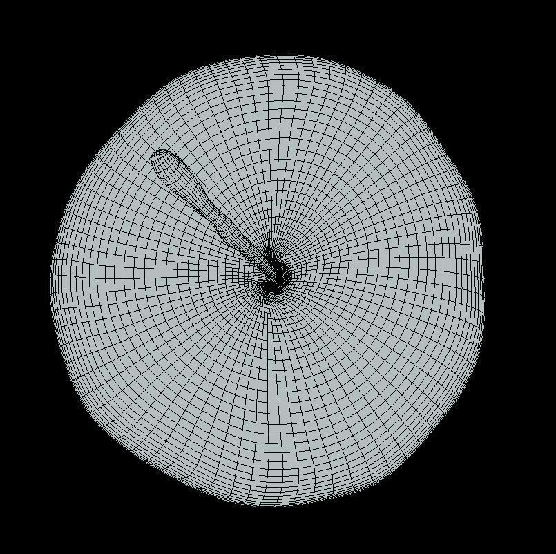 Apple Low-poly 3D model_6