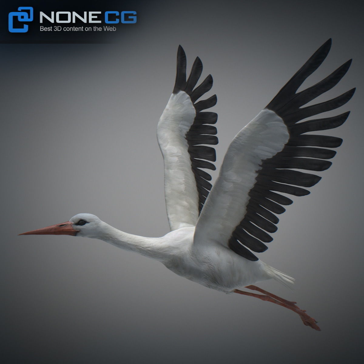 Animated Stork 3D model_9