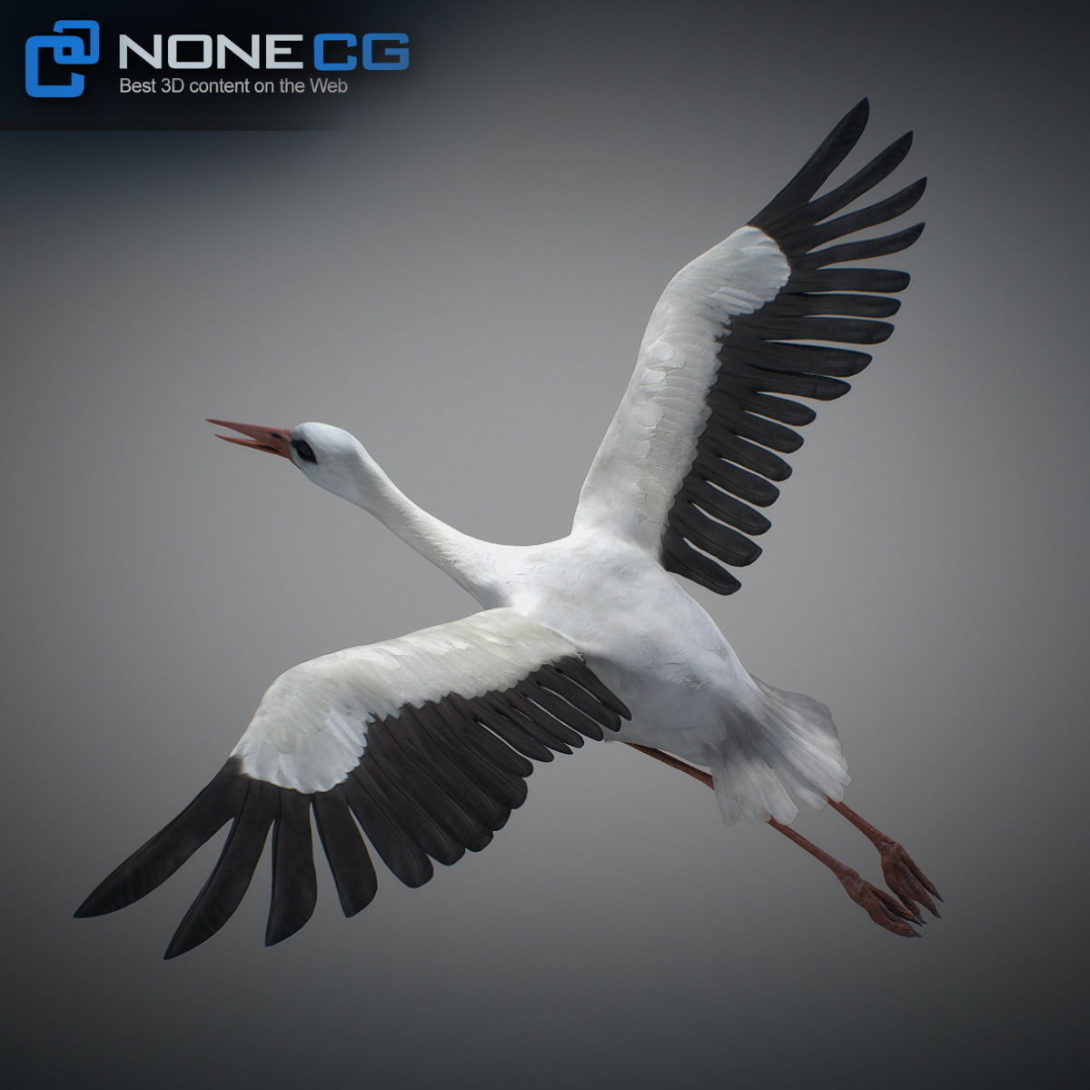 Animated Stork 3D model_13