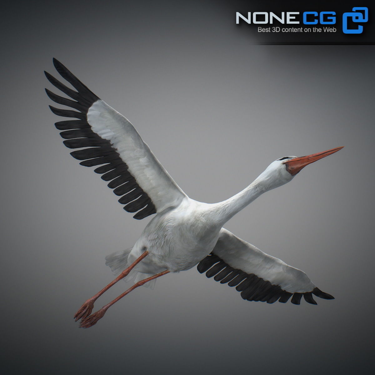 Animated Stork 3D model_14
