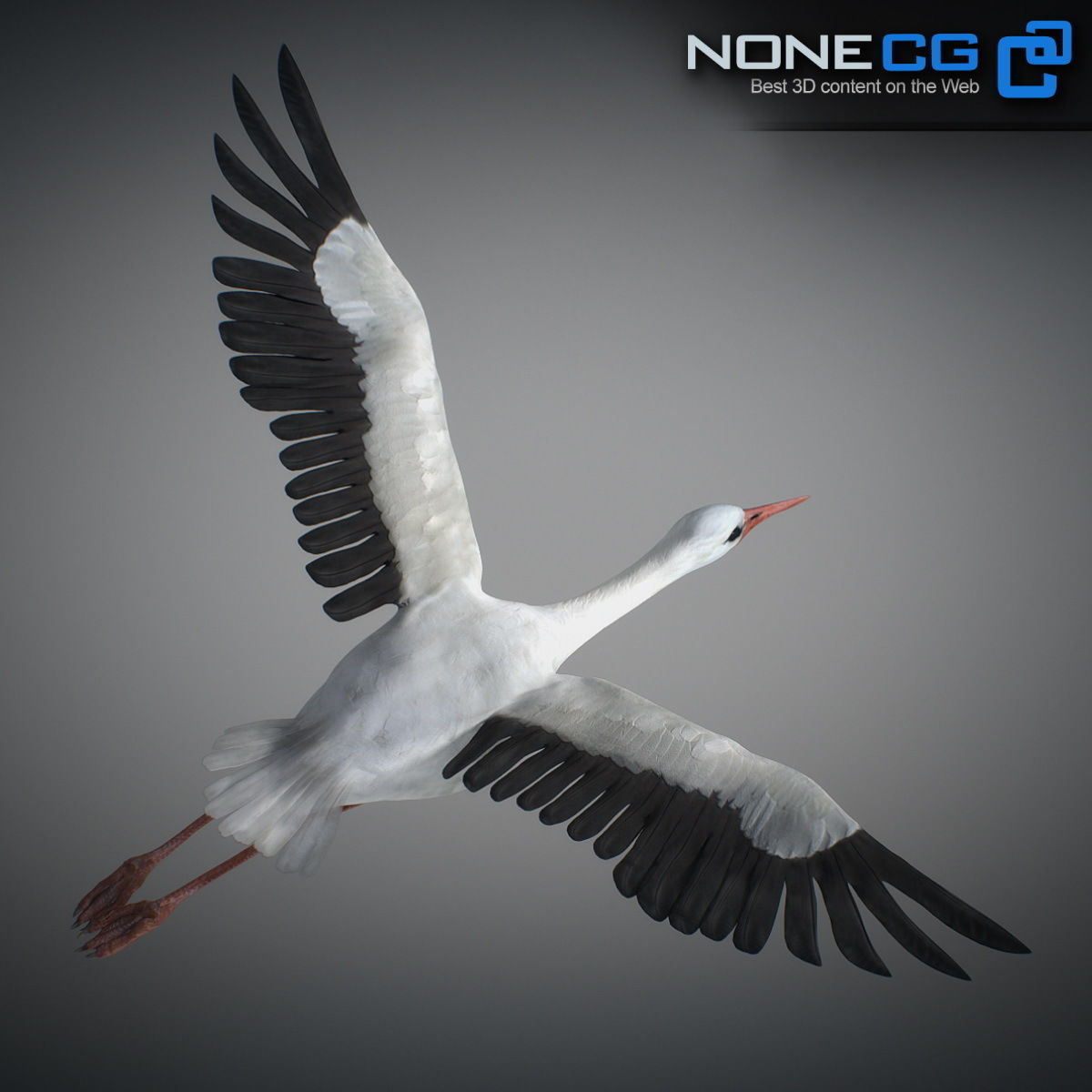 Animated Stork 3D model_12