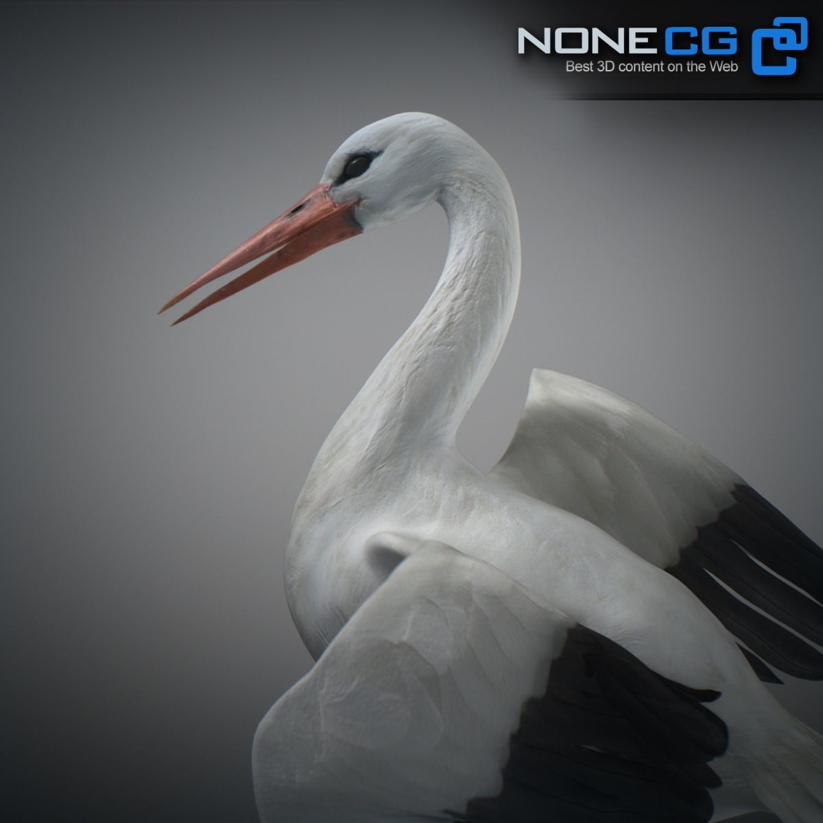Animated Stork 3D model_2