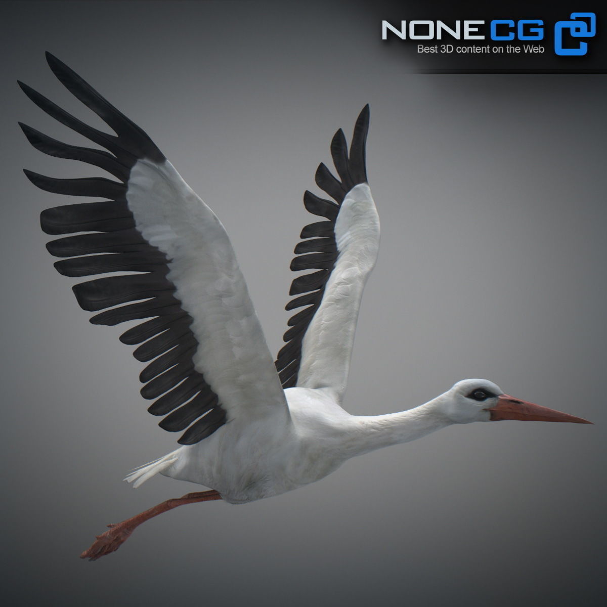 Animated Stork 3D model_11