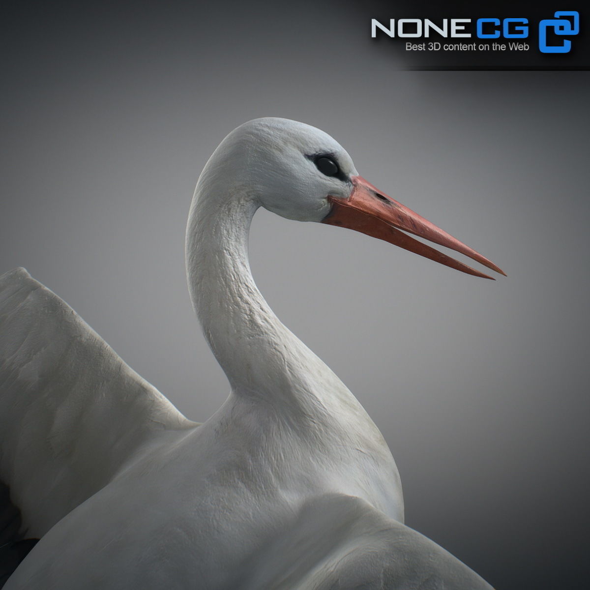 Animated Stork 3D model_3