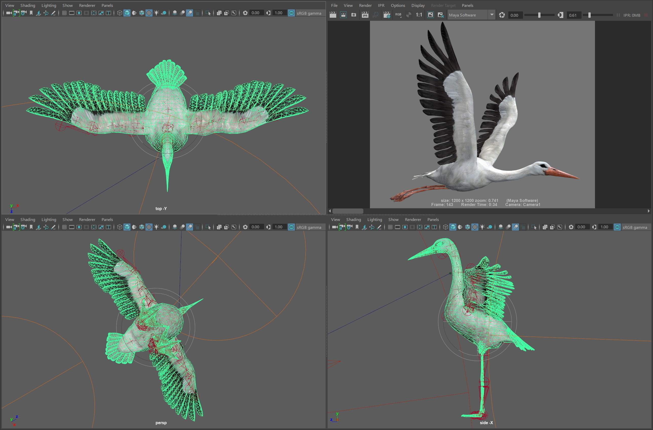 Animated Stork 3D model_19