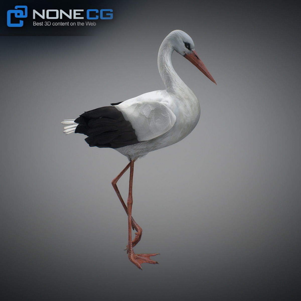 Animated Stork 3D model_16