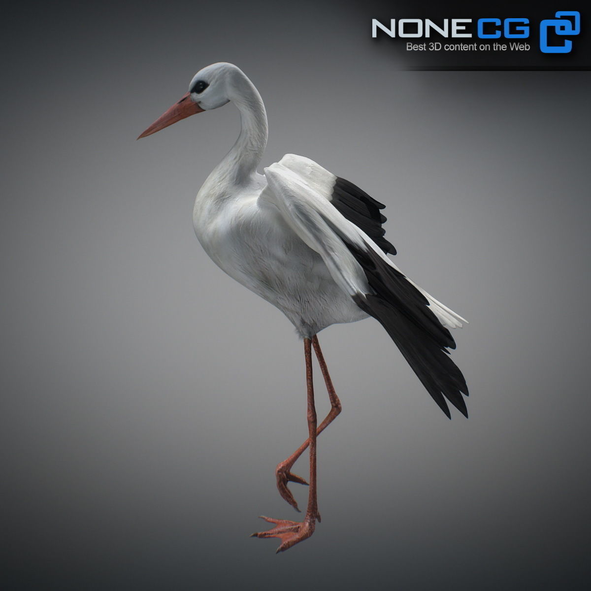 Animated Stork 3D model_6